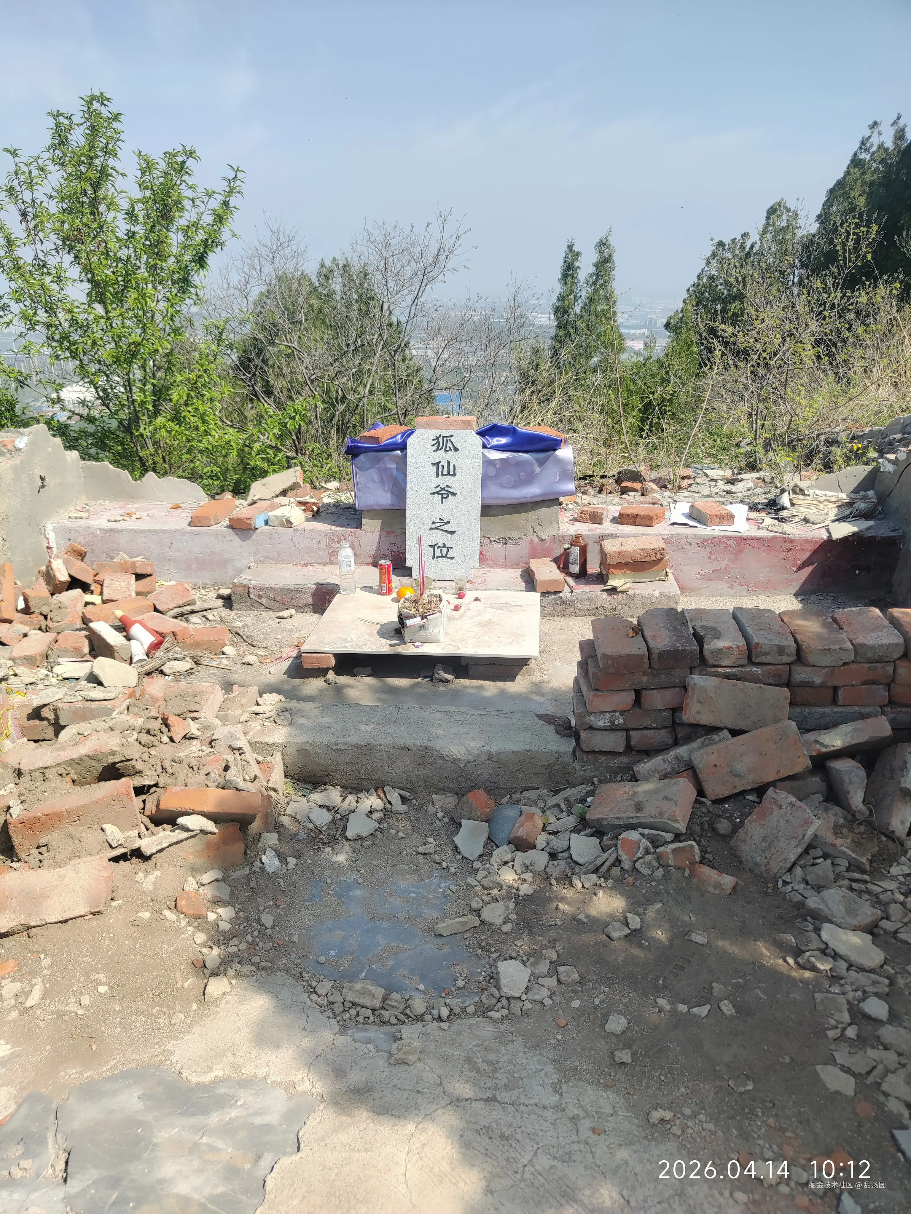 甜汤圆于2026-04-14 10:44发布的图片