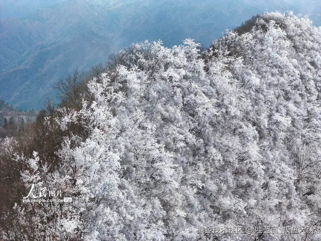 哇蓝蓝_摸鱼大队于2026-02-05 09:29发布的图片