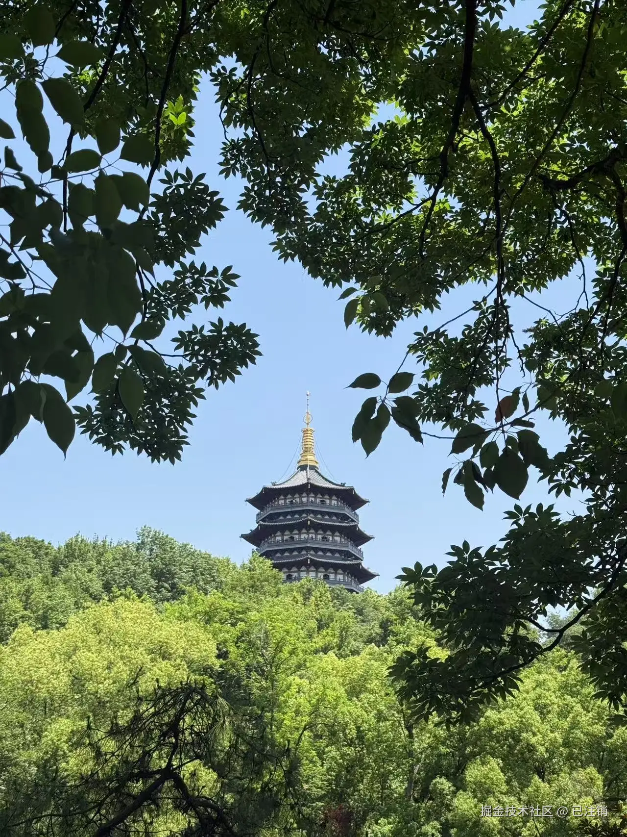 已注销于2025-05-12 09:55发布的图片