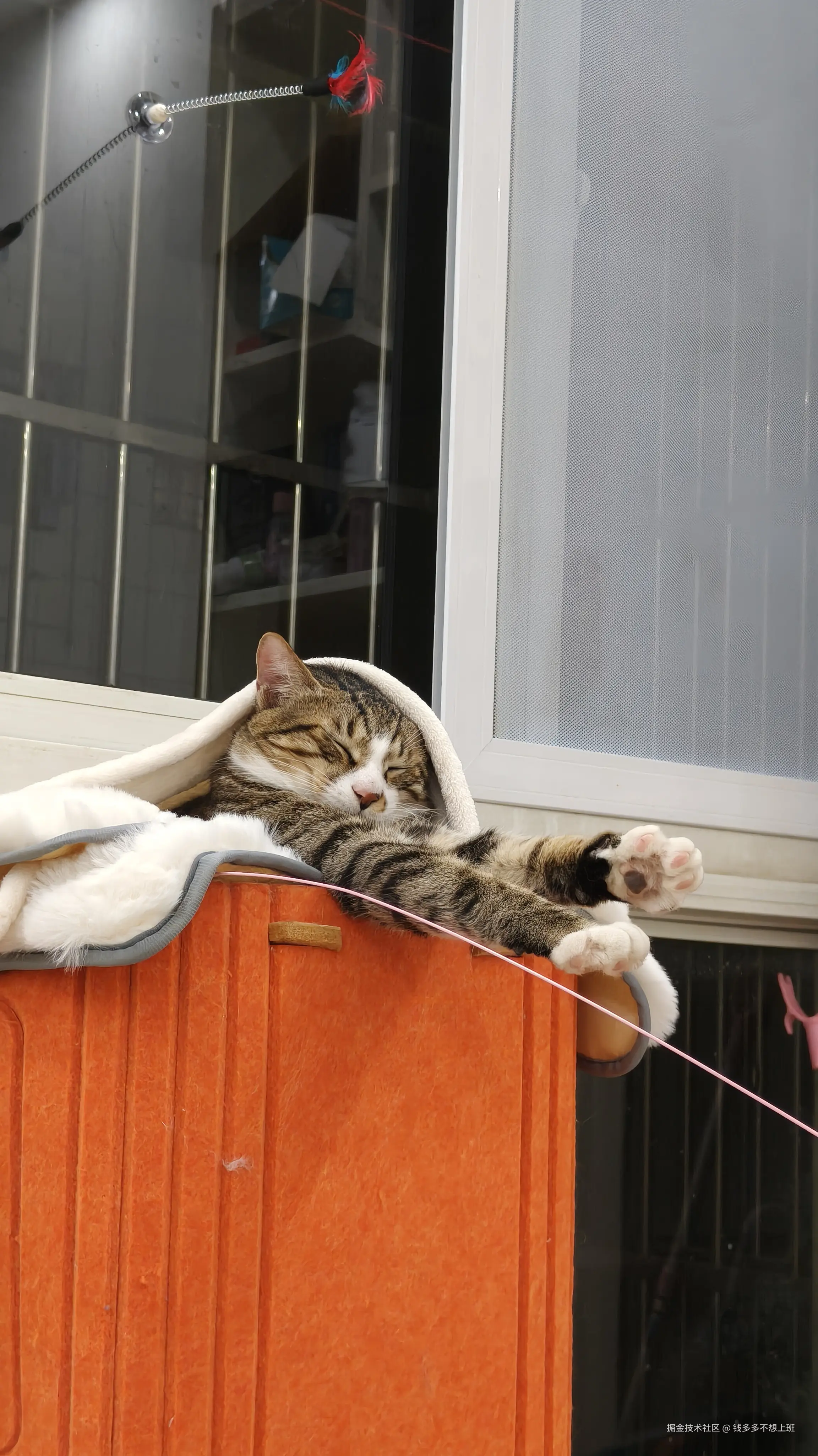 钱多多不想上班于2025-12-08 10:22发布的图片