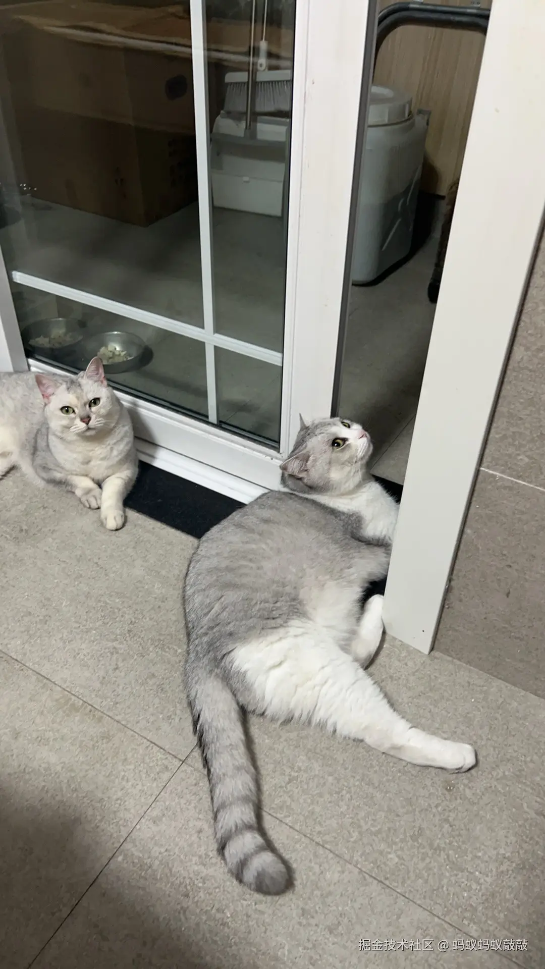 蚂蚁蚂蚁敲敲于2024-09-24 13:12发布的图片