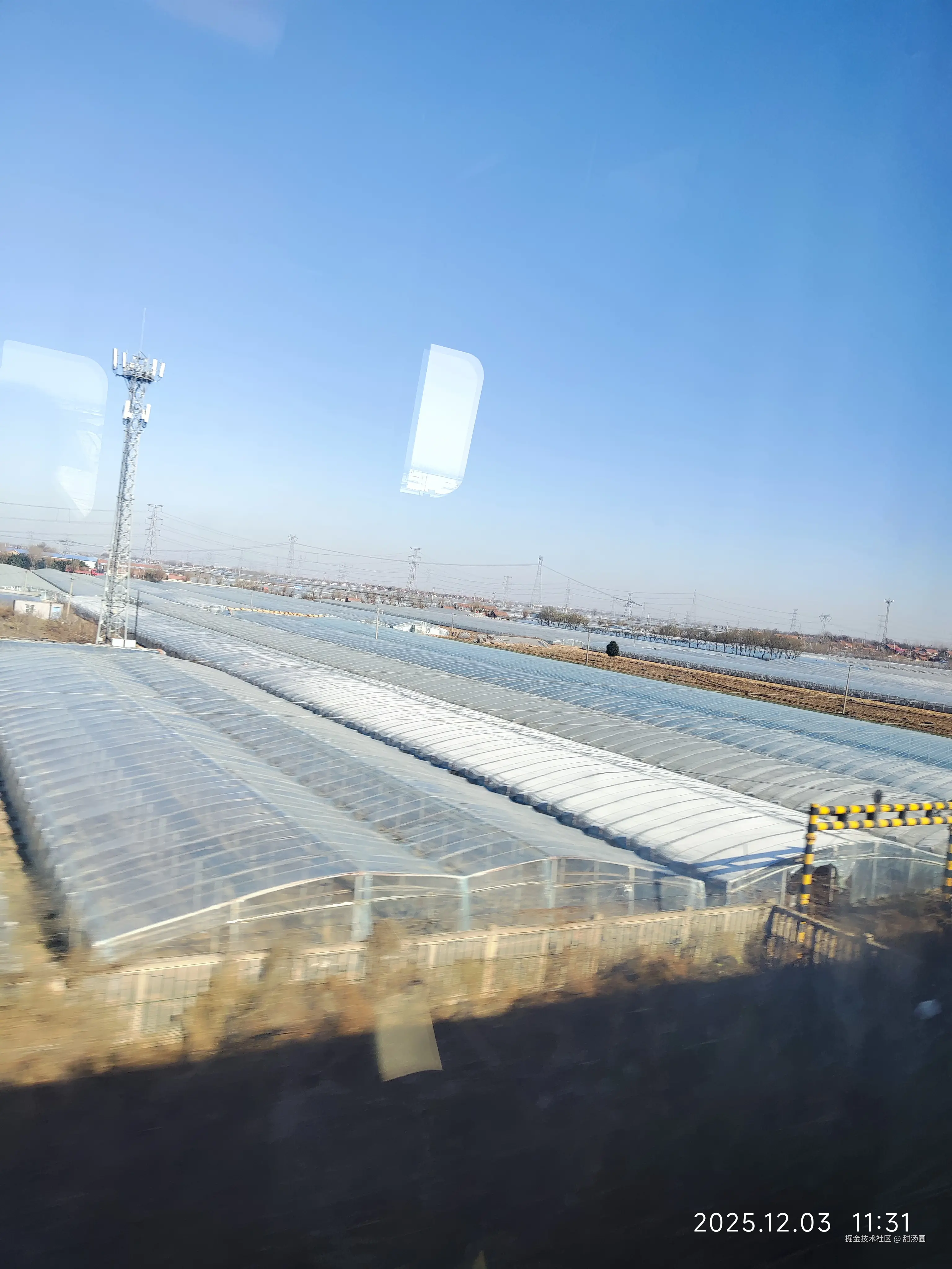 甜汤圆于2025-12-03 11:32发布的图片