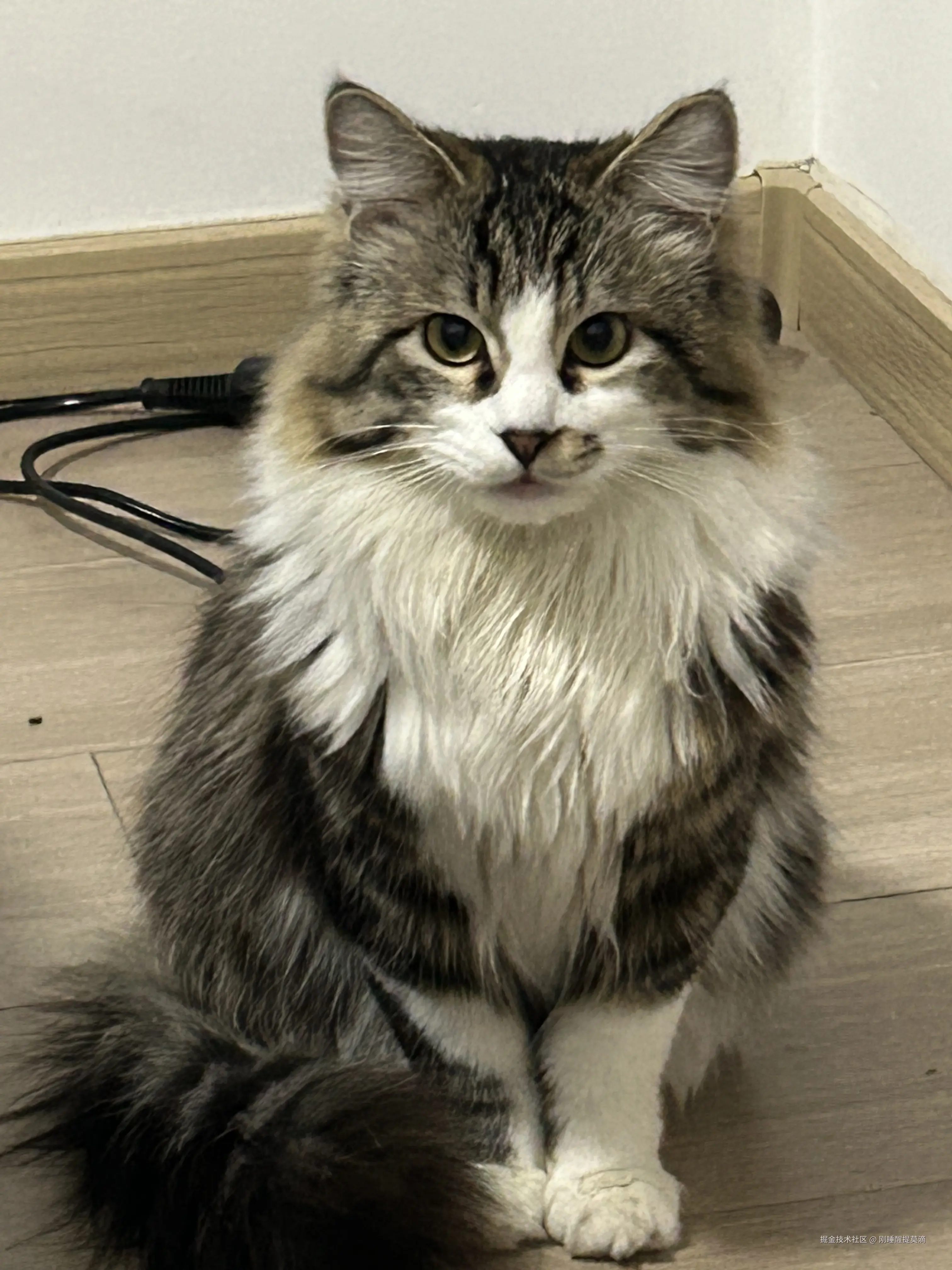 刚睡醒提莫滴于2025-07-09 14:41发布的图片