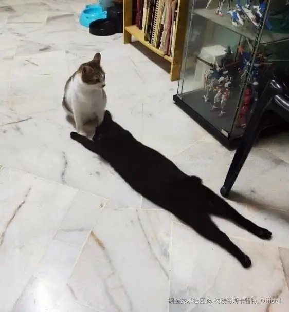 法欧特斯卡雷特_Official于2024-11-01 11:09发布的图片