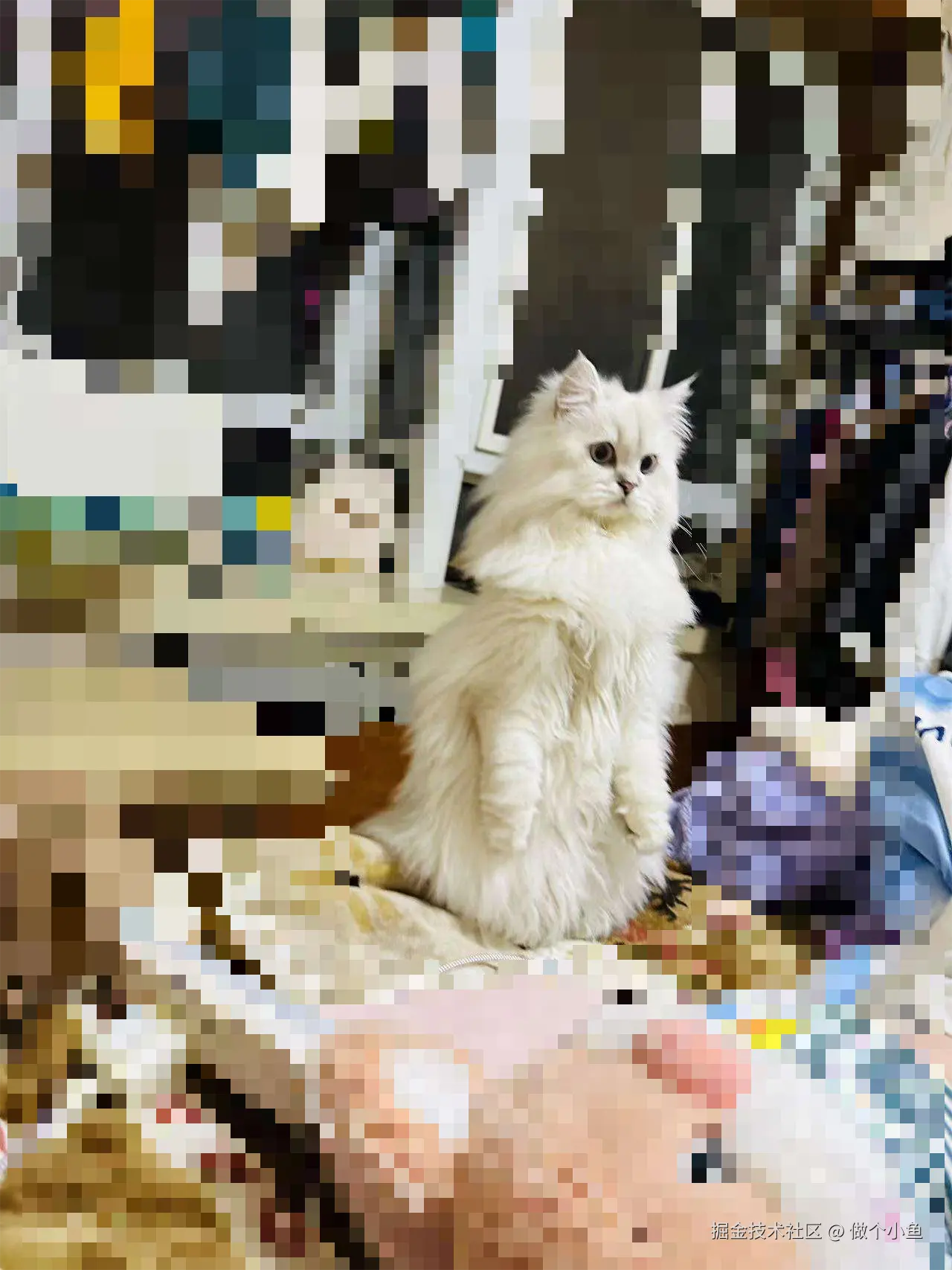 做个小鱼于2024-12-13 16:40发布的图片