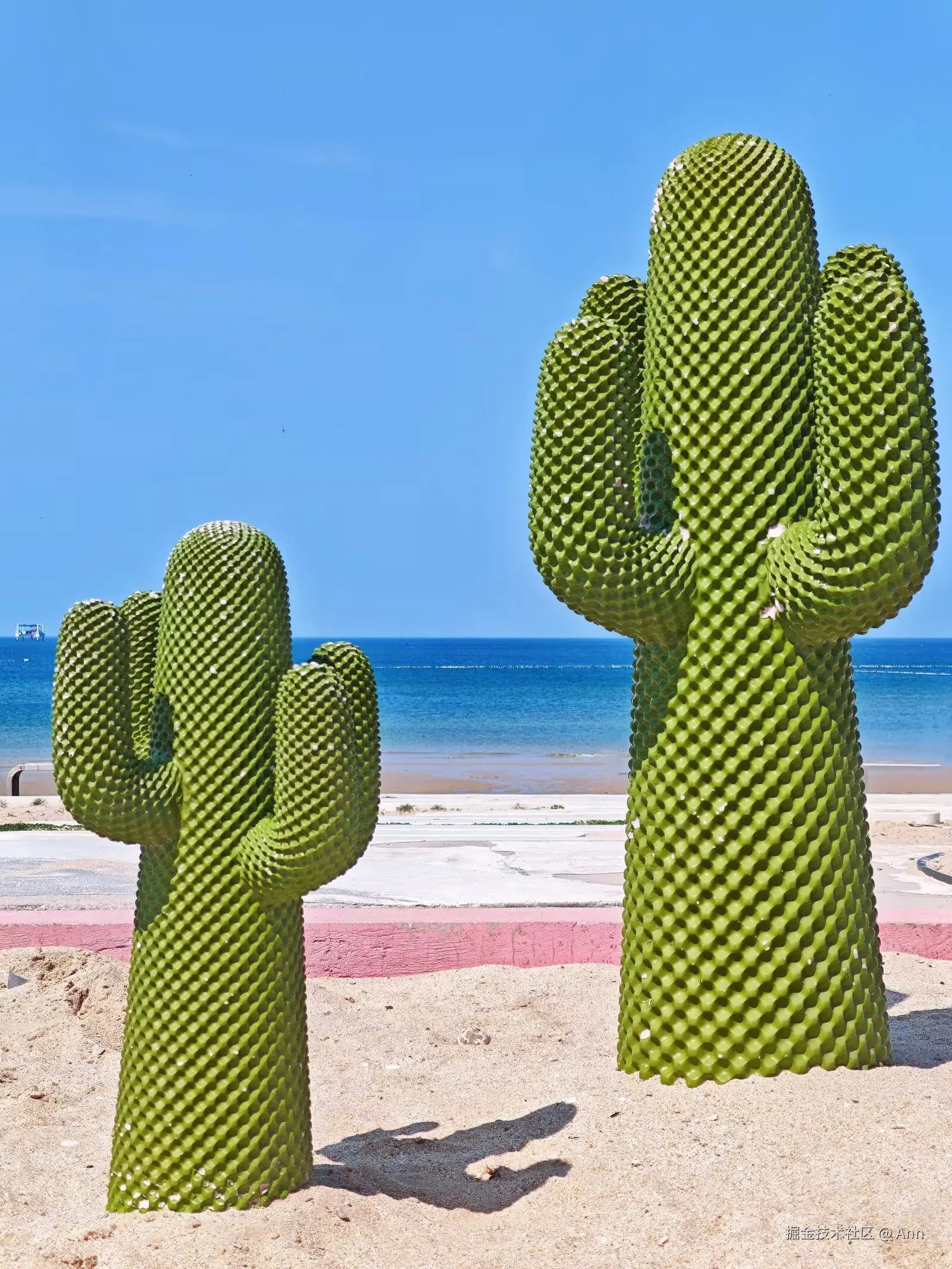 Ann于2025-05-14 08:46发布的图片