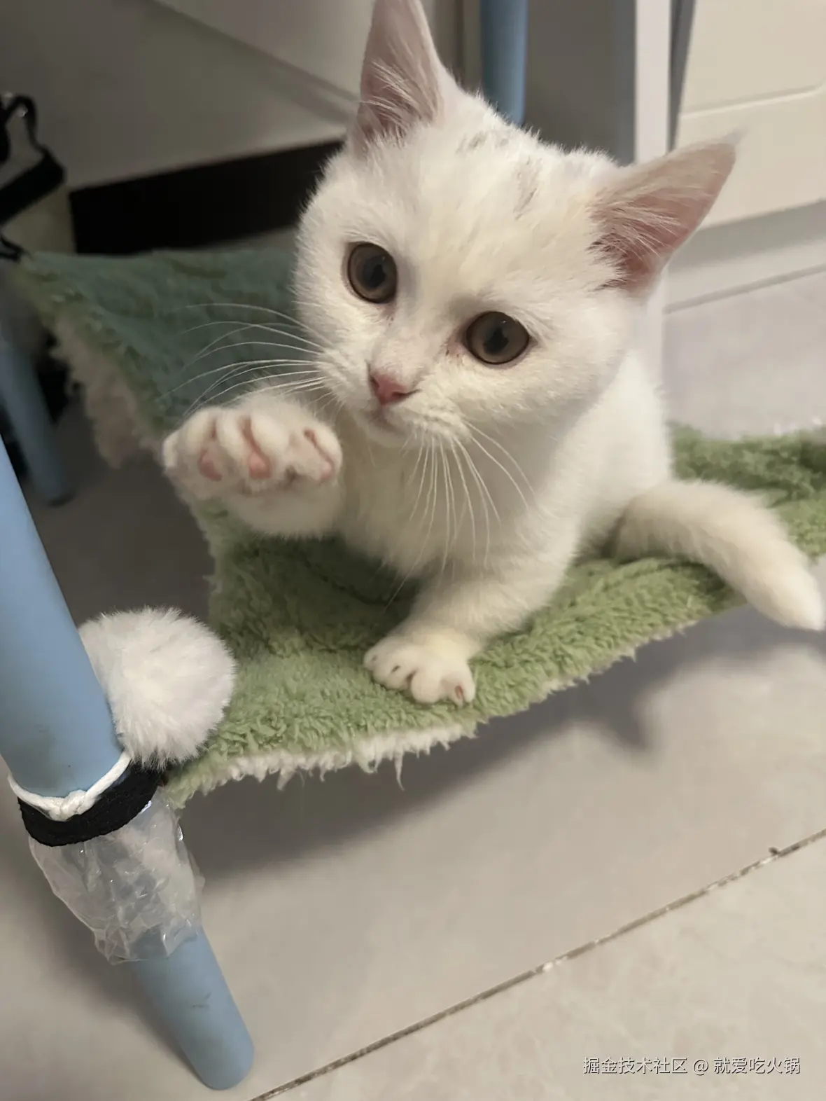 就爱吃火锅于2025-04-07 13:37发布的图片