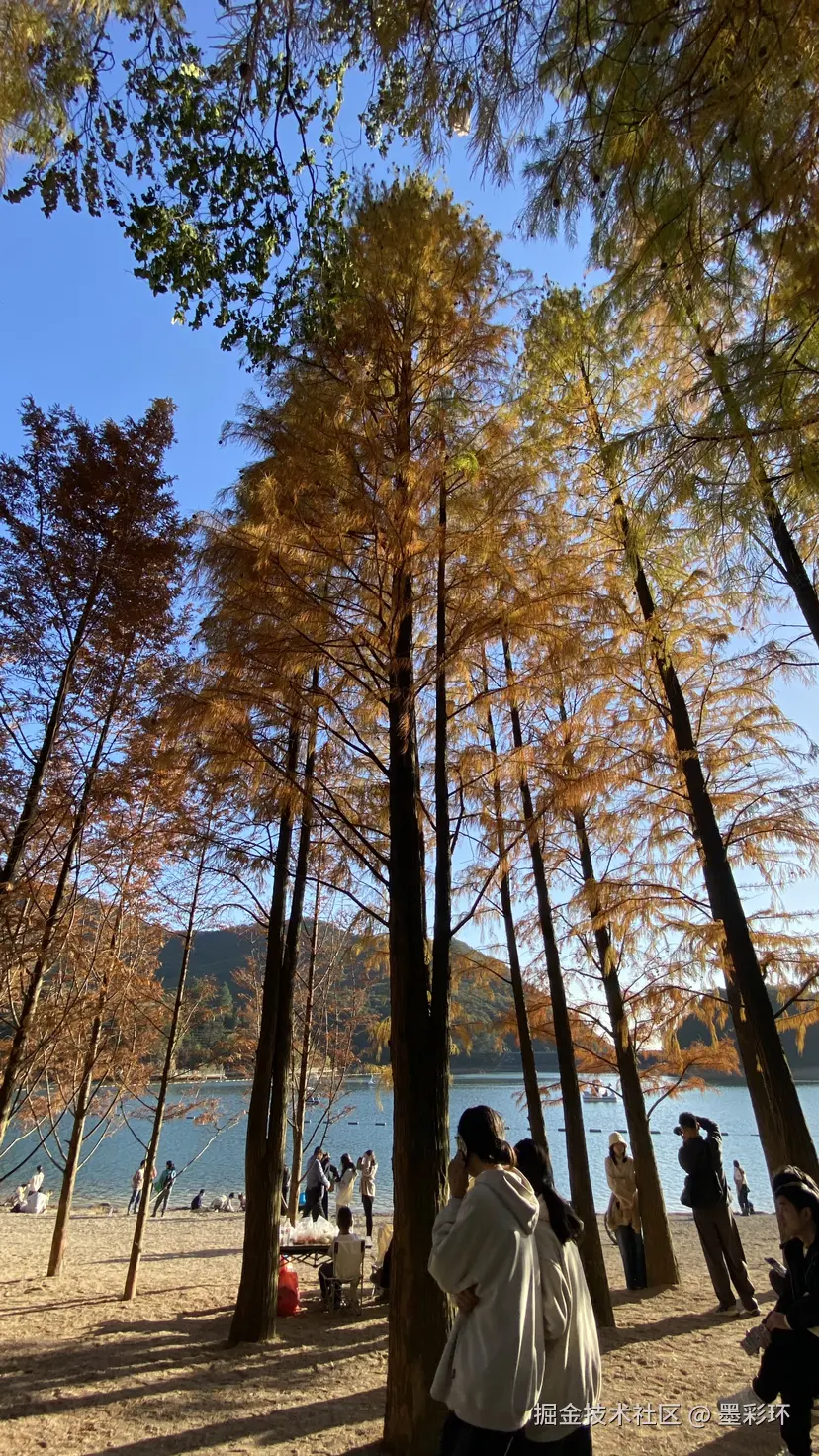 墨彩环于2024-12-02 08:09发布的图片