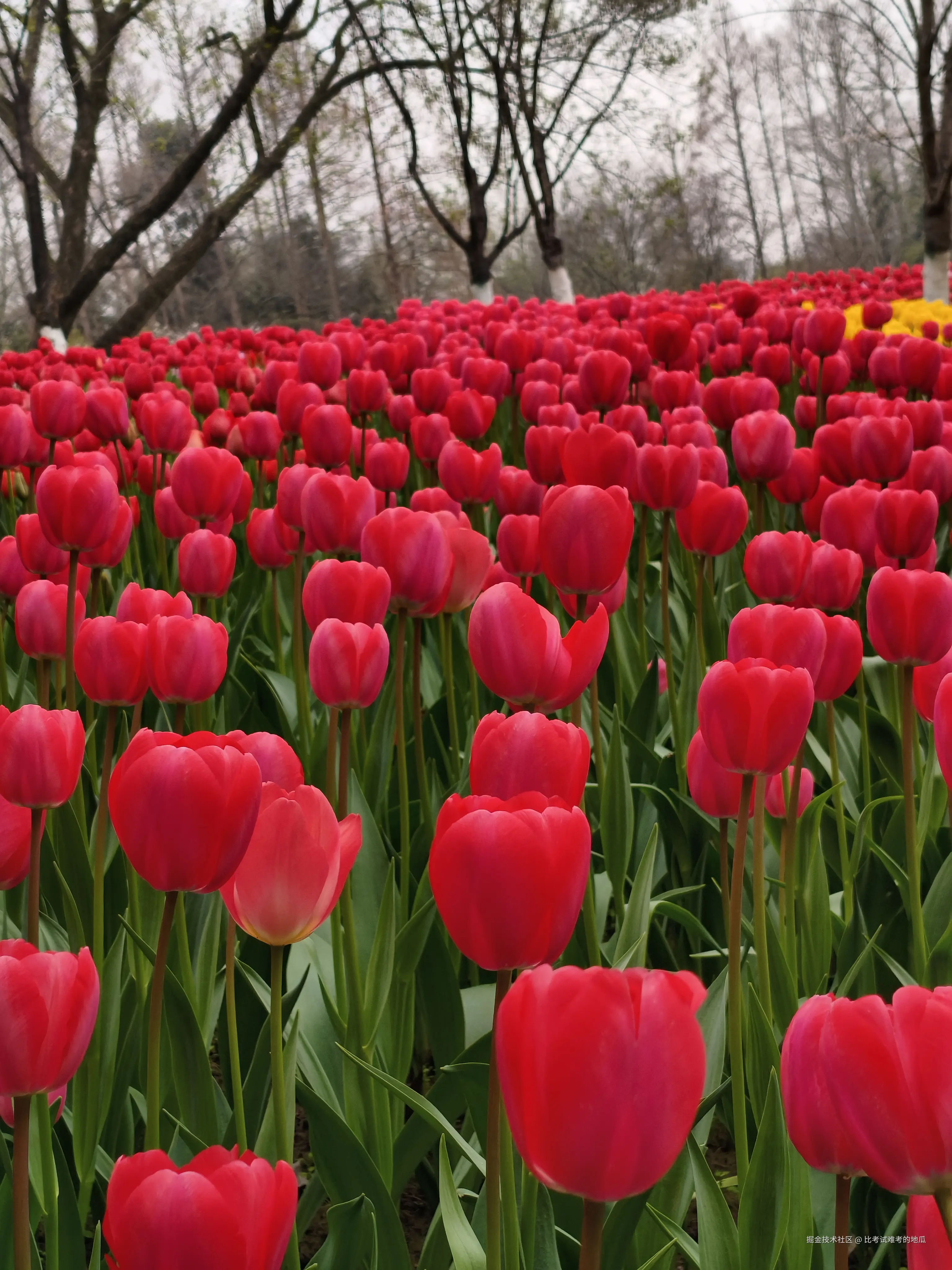 比考试难考的地瓜于2026-03-23 12:05发布的图片