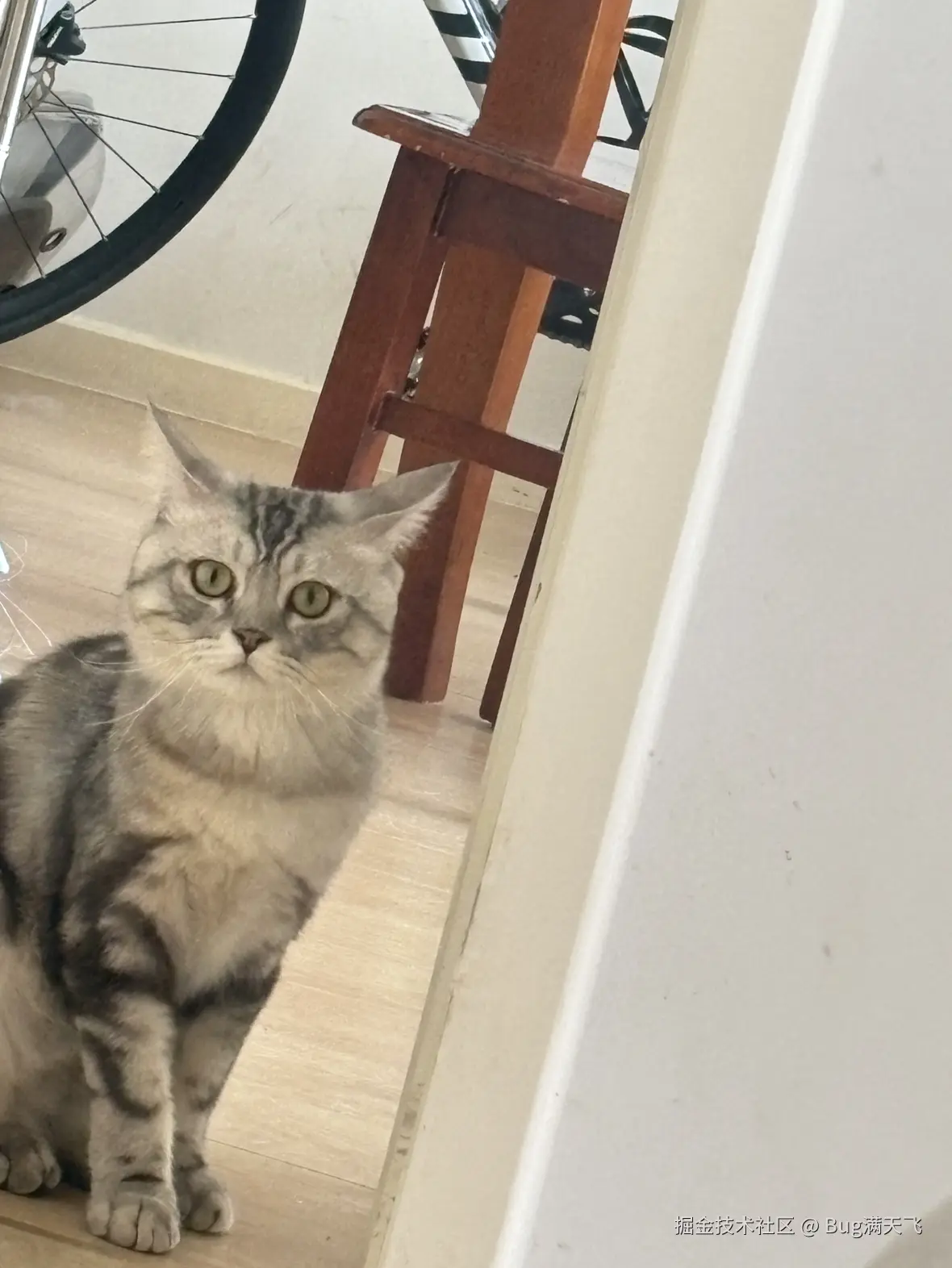 Bug满天飞于2025-04-16 14:35发布的图片