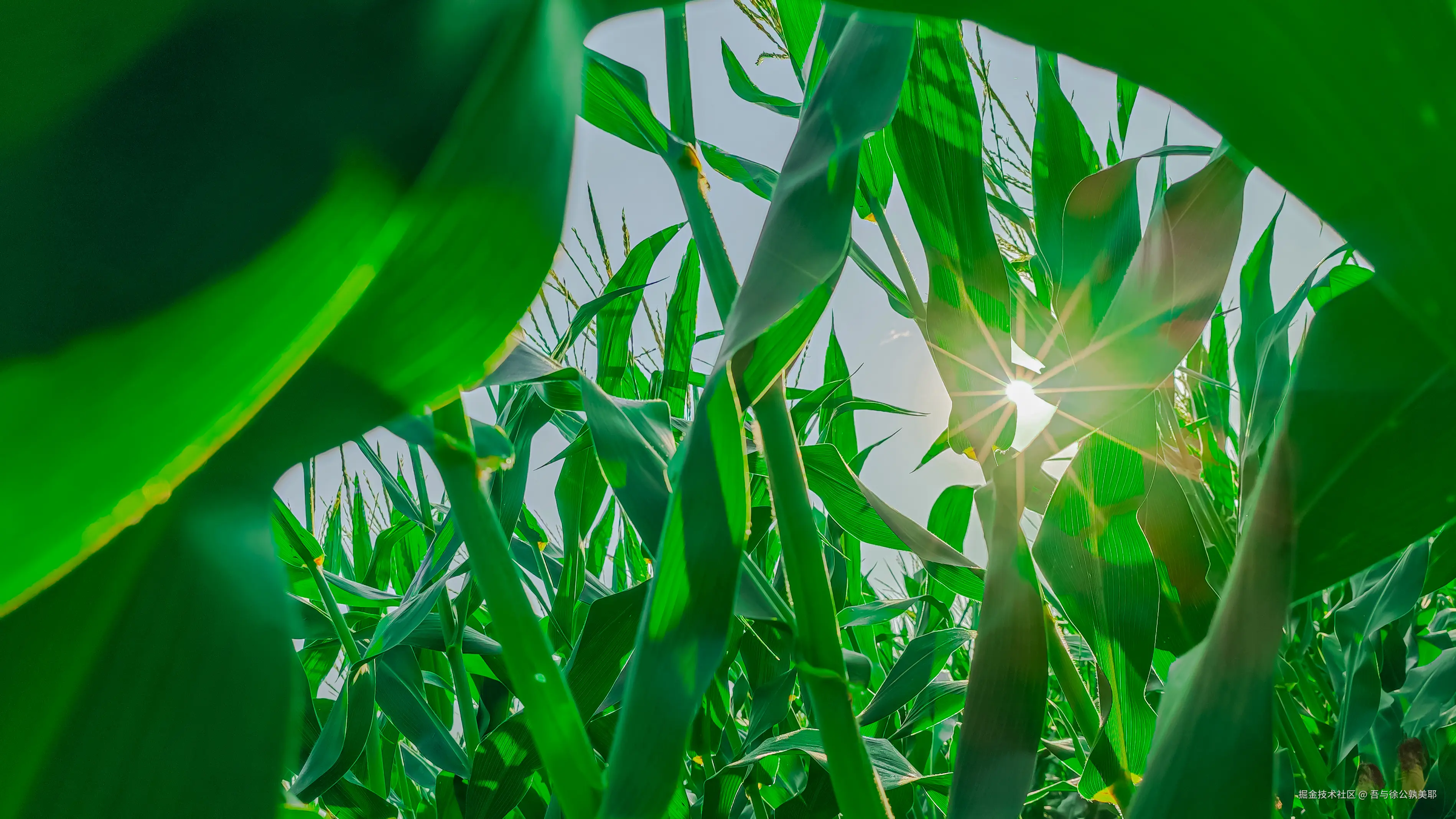 吾与徐公孰美耶于2024-08-16 14:04发布的图片