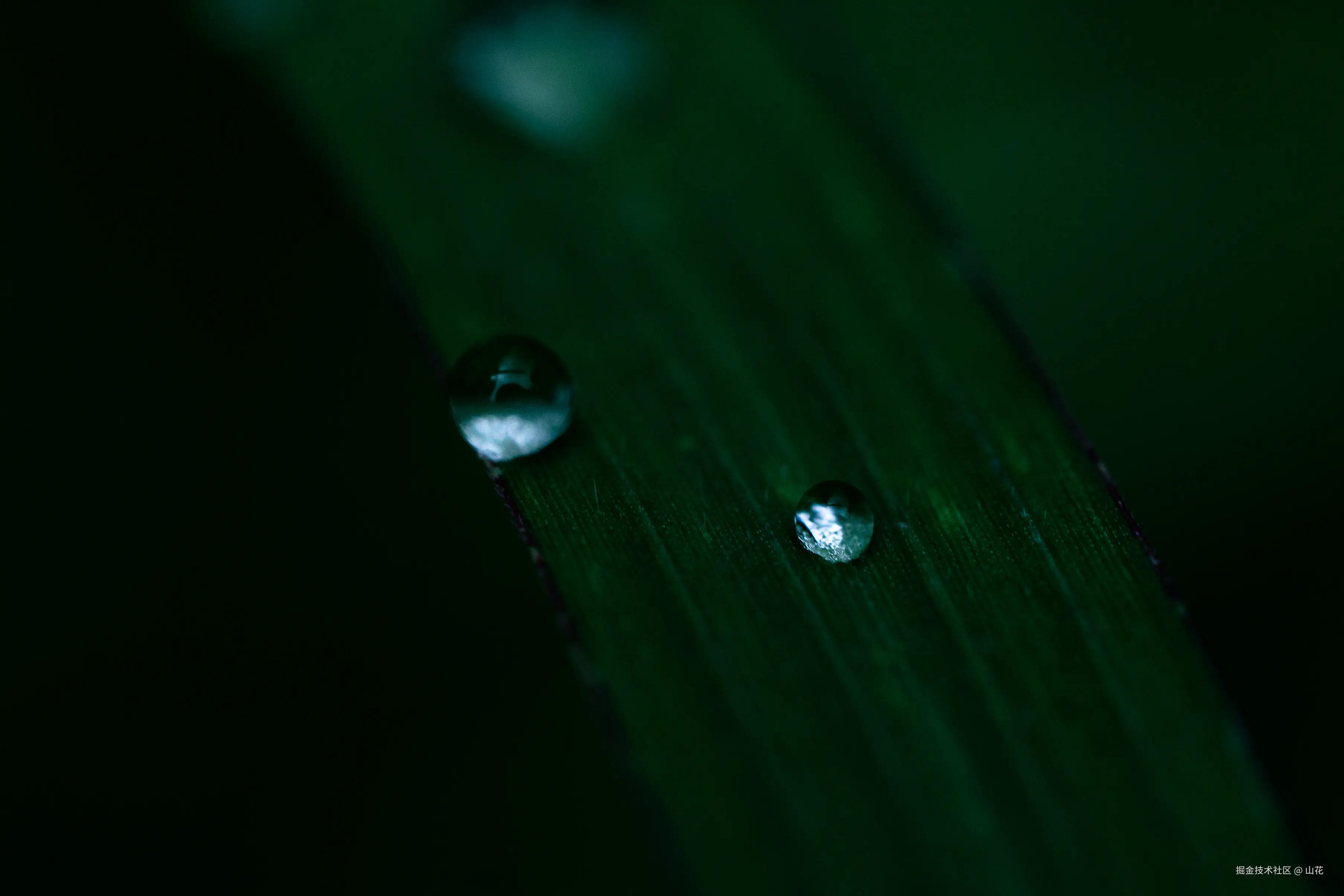 山花于2025-07-21 10:12发布的图片