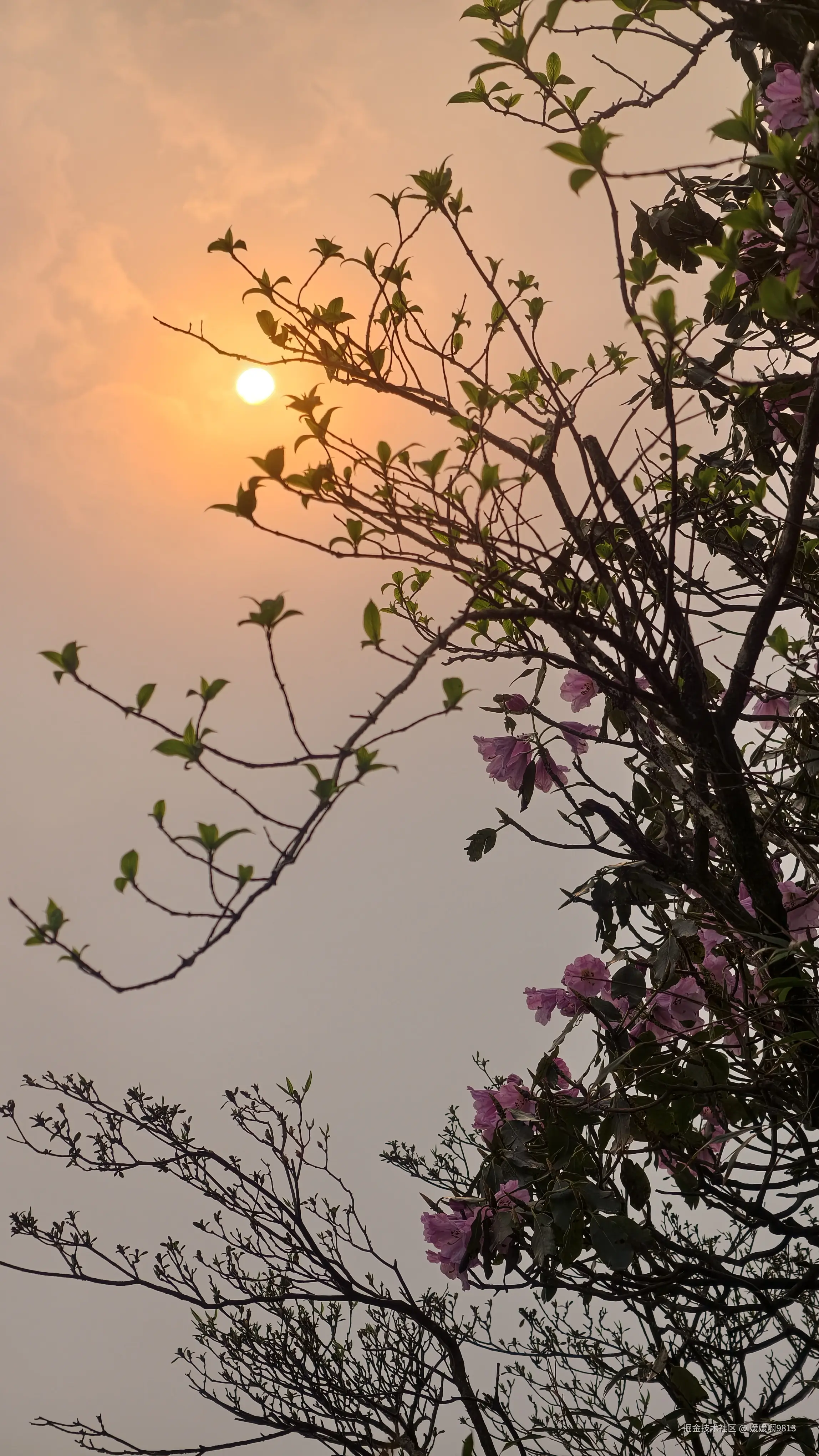 媛媛啊9813于2026-04-14 22:41发布的图片