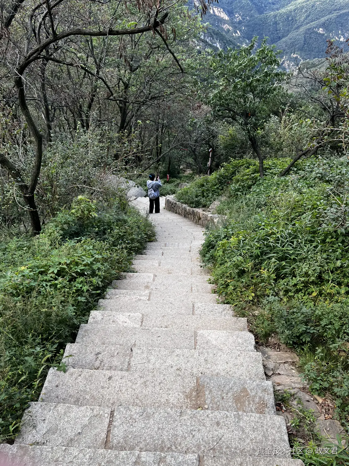 政文君于2024-09-18 19:26发布的图片