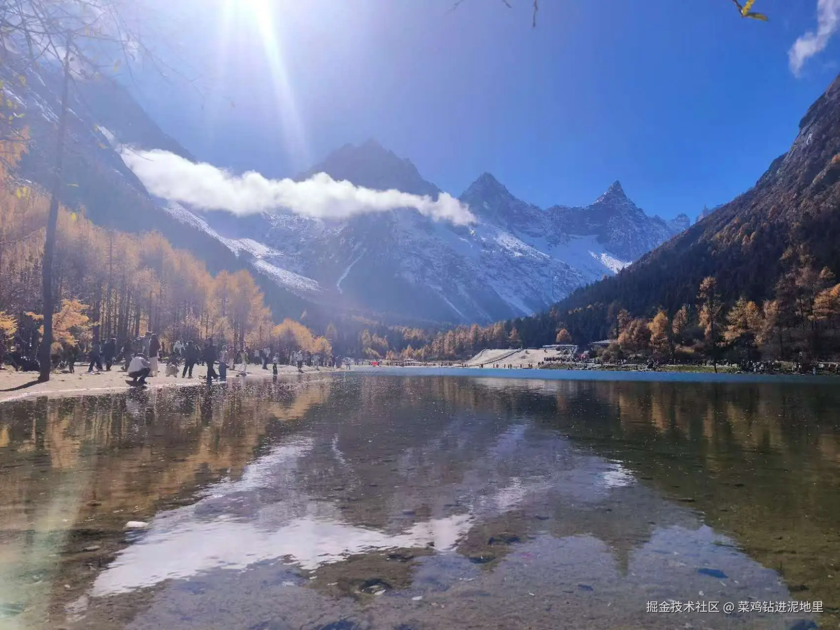 菜鸡钻进泥地里于2025-11-10 15:46发布的图片