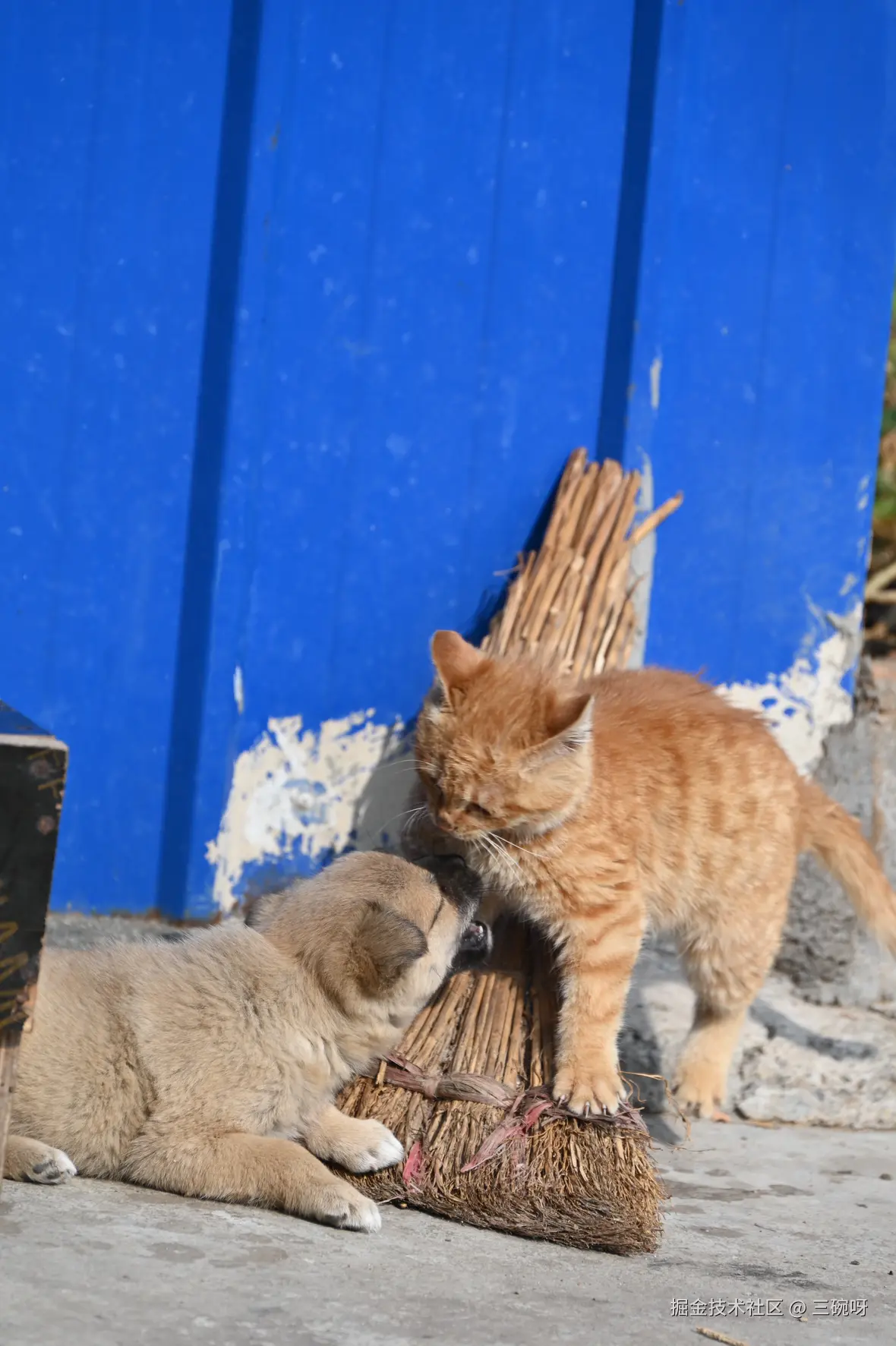 三碗呀于2025-01-13 16:23发布的图片