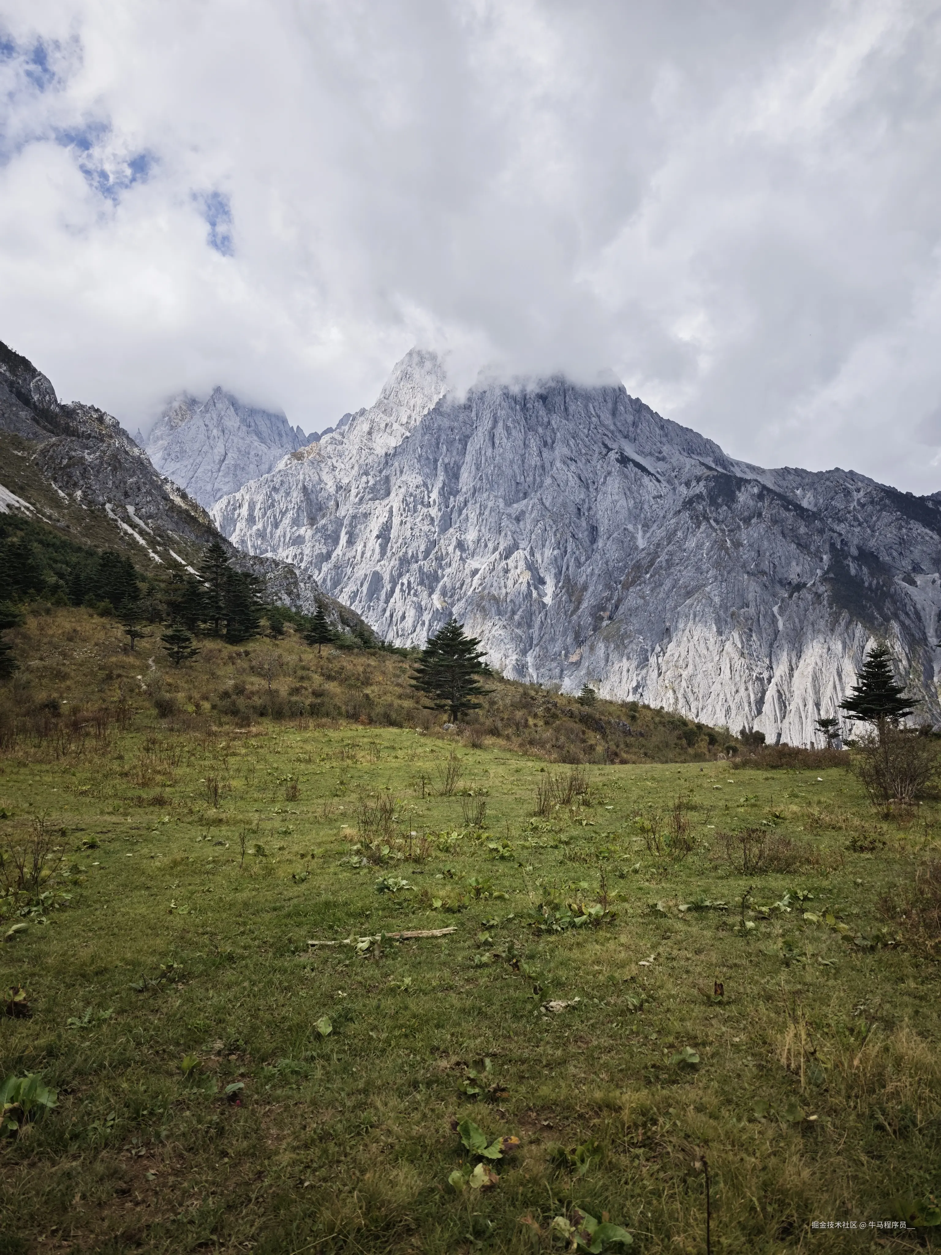 牛马程序员__于2025-10-09 13:51发布的图片
