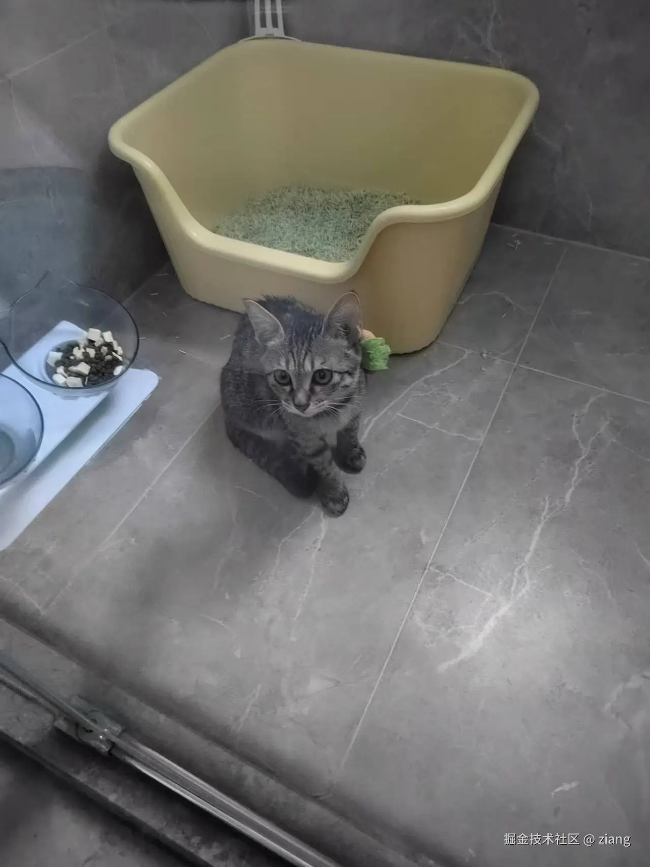 ziang于2024-11-26 14:18发布的图片