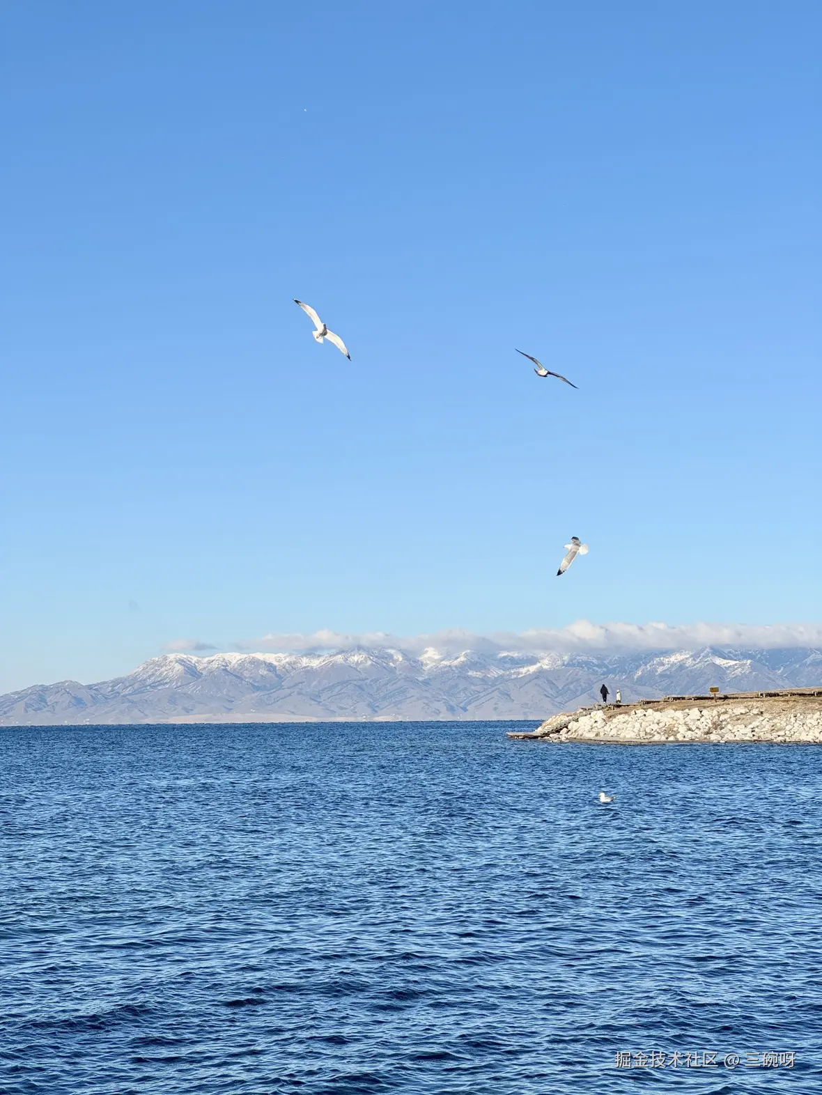 三碗呀于2025-10-23 10:38发布的图片