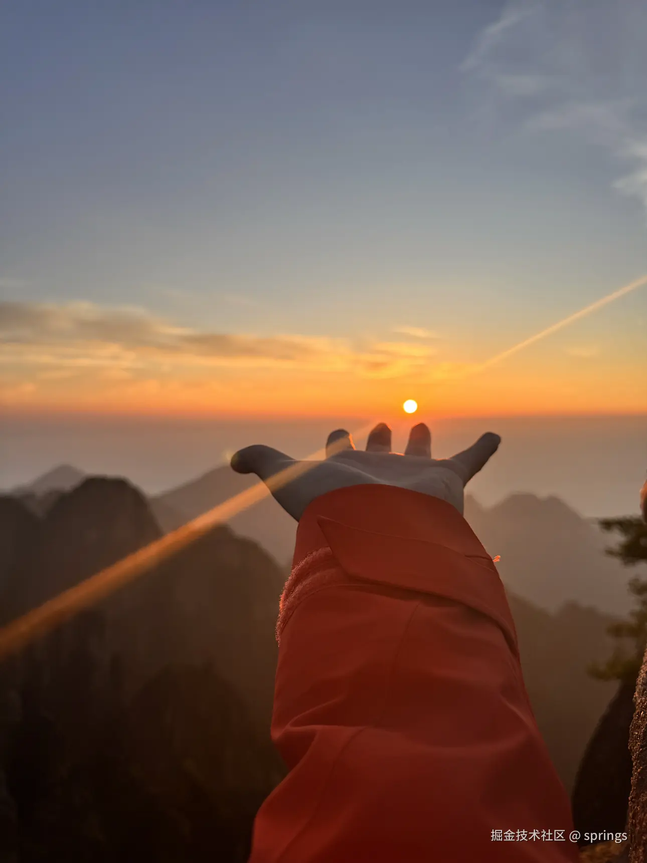 springs于2024-08-18 20:42发布的图片