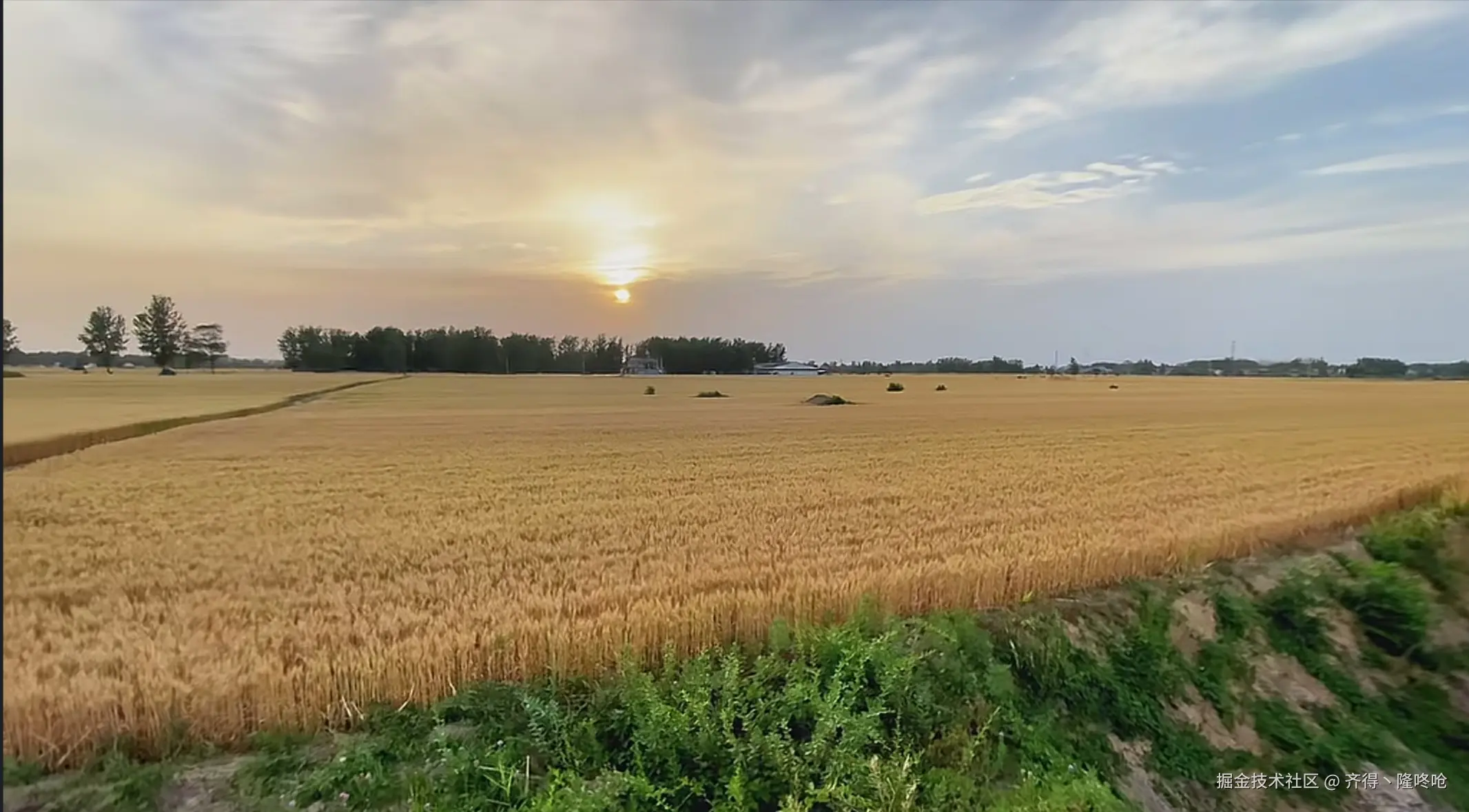 齐得丶隆咚呛于2025-05-28 12:51发布的图片