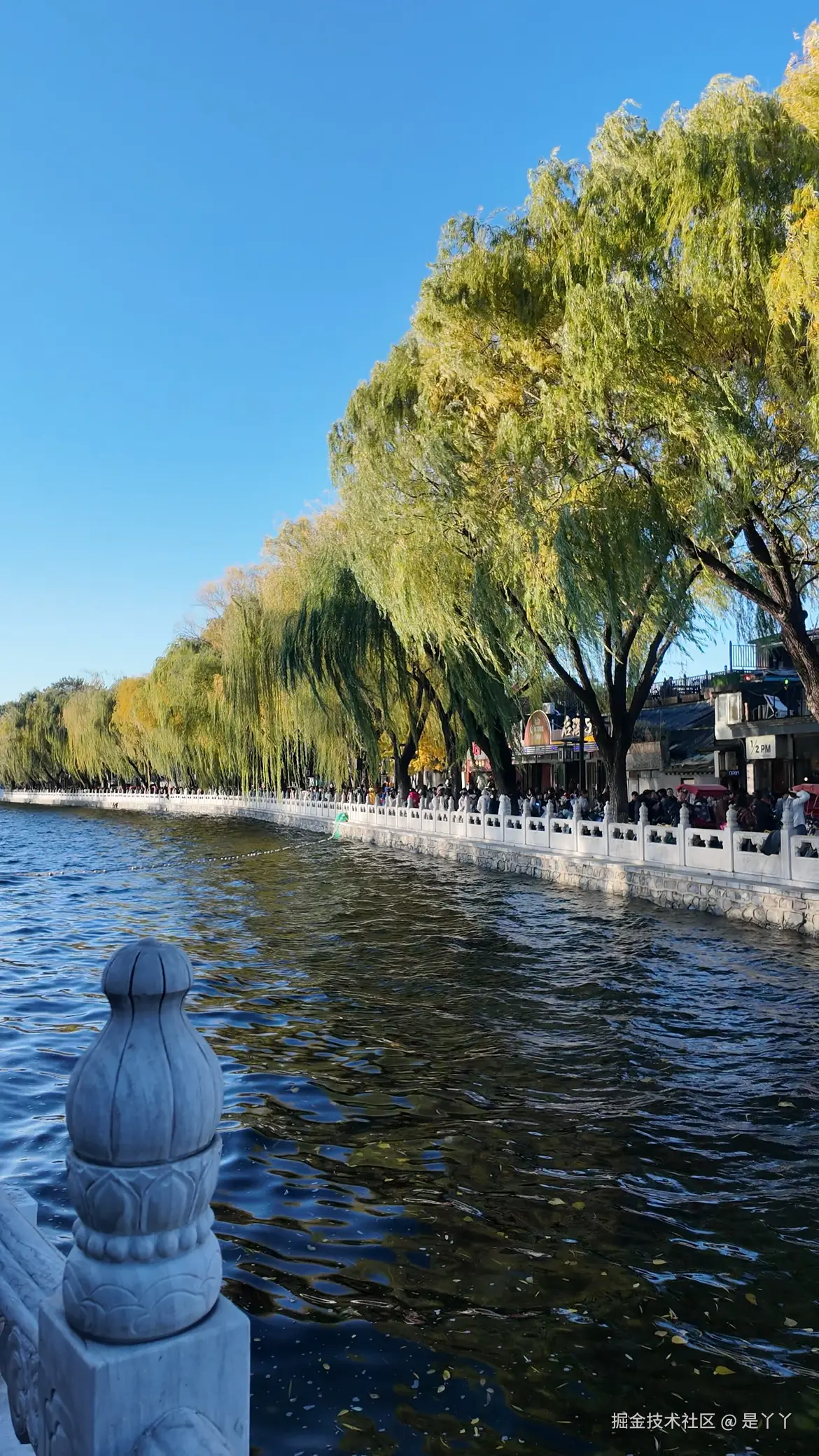 是丫丫于2025-11-10 13:47发布的图片