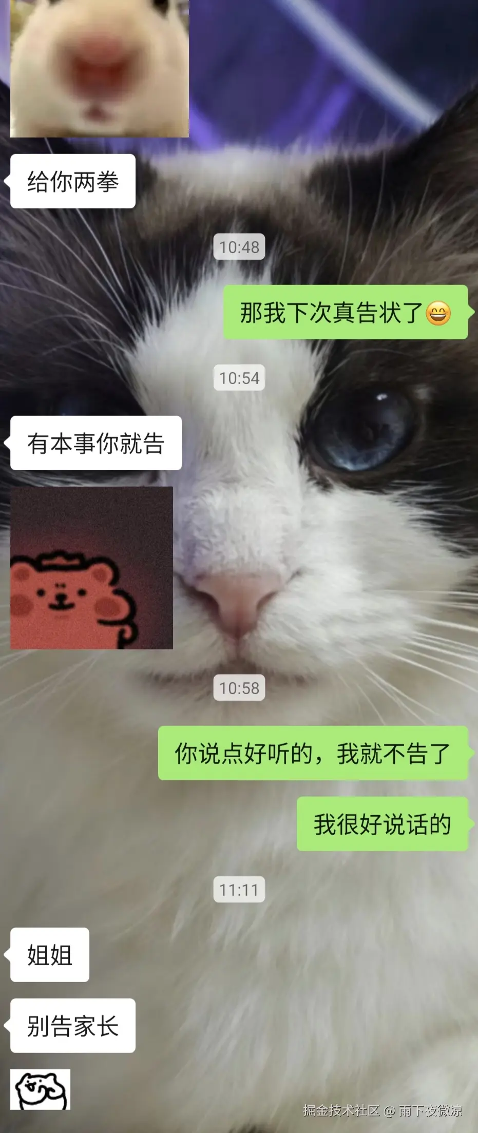 雨下夜微凉于2026-04-07 11:18发布的图片