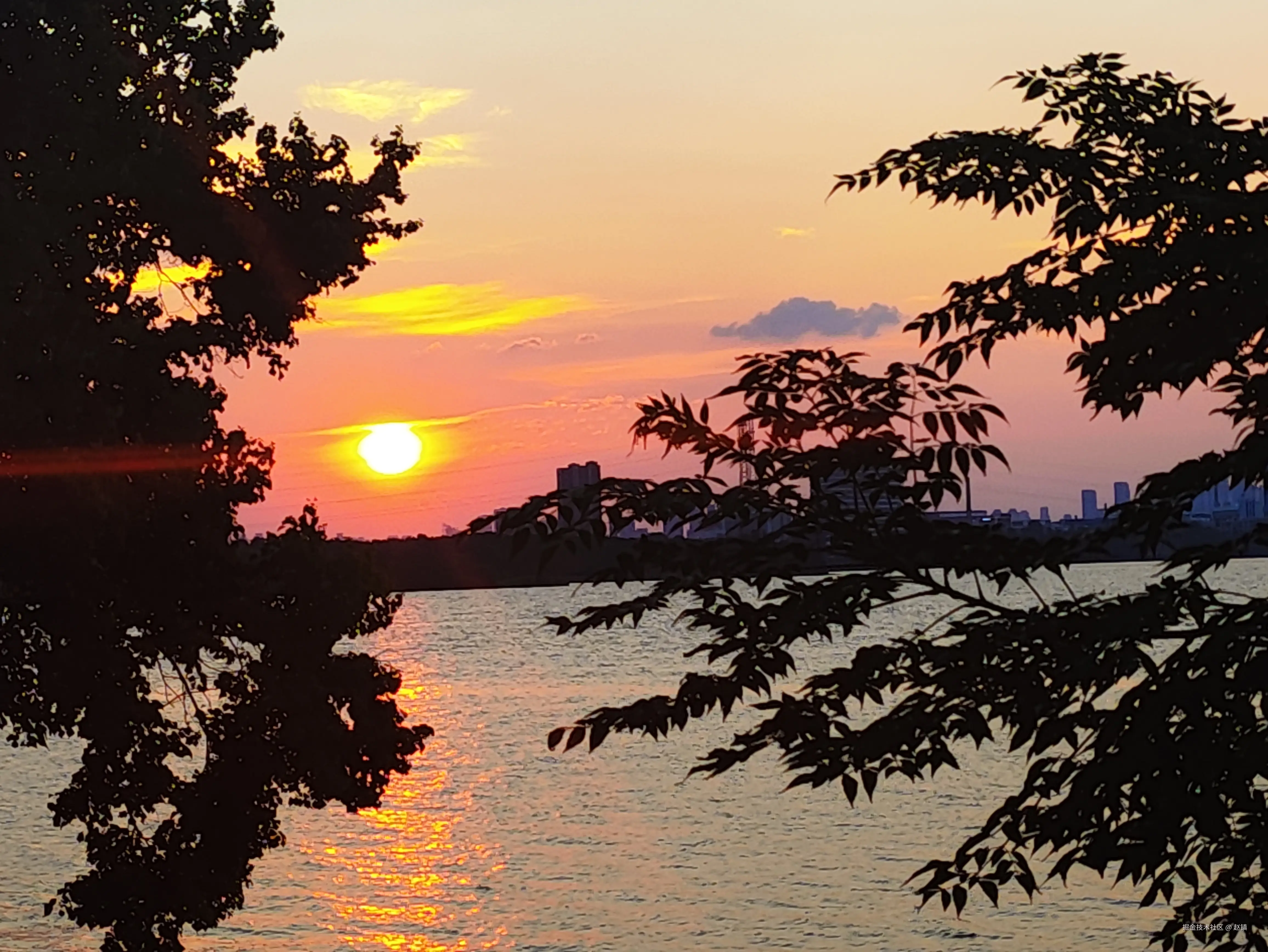 赵镇于2025-07-31 15:48发布的图片