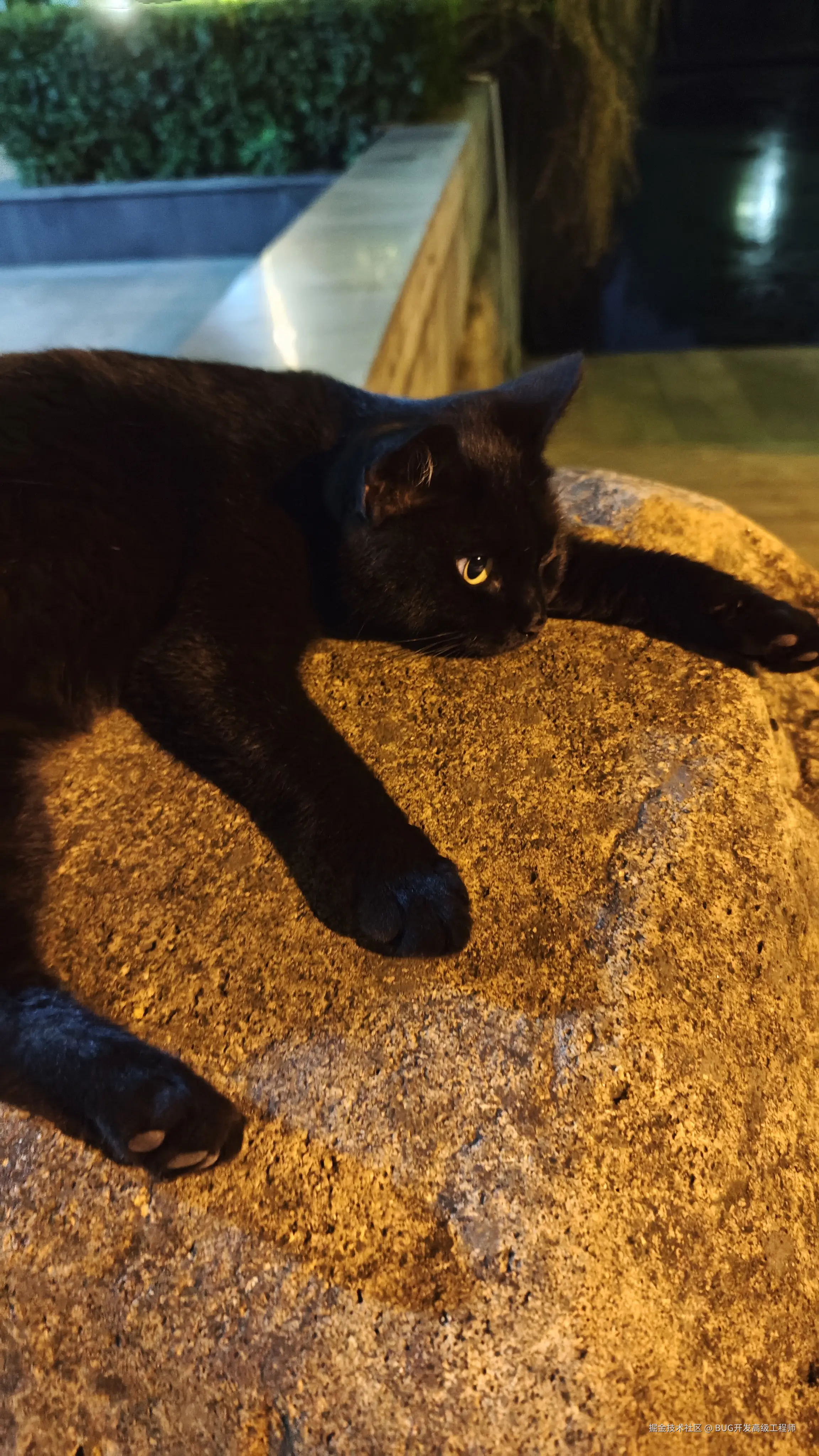 BUG开发高级工程师于2025-08-29 15:03发布的图片