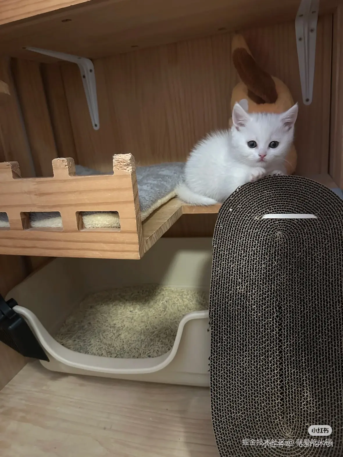 就爱吃火锅于2025-02-17 10:04发布的图片