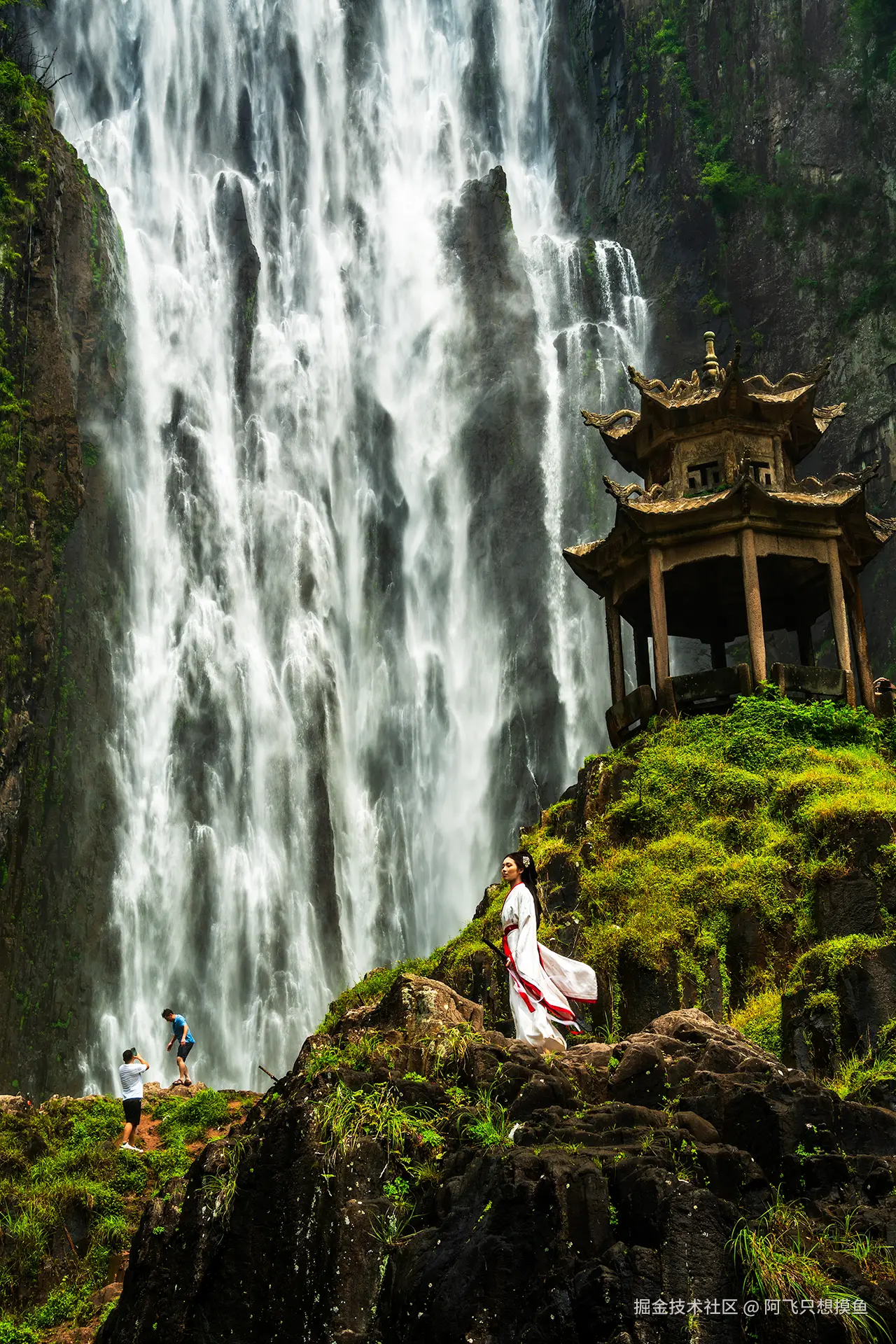 阿飞只想摸鱼于2025-07-16 10:45发布的图片