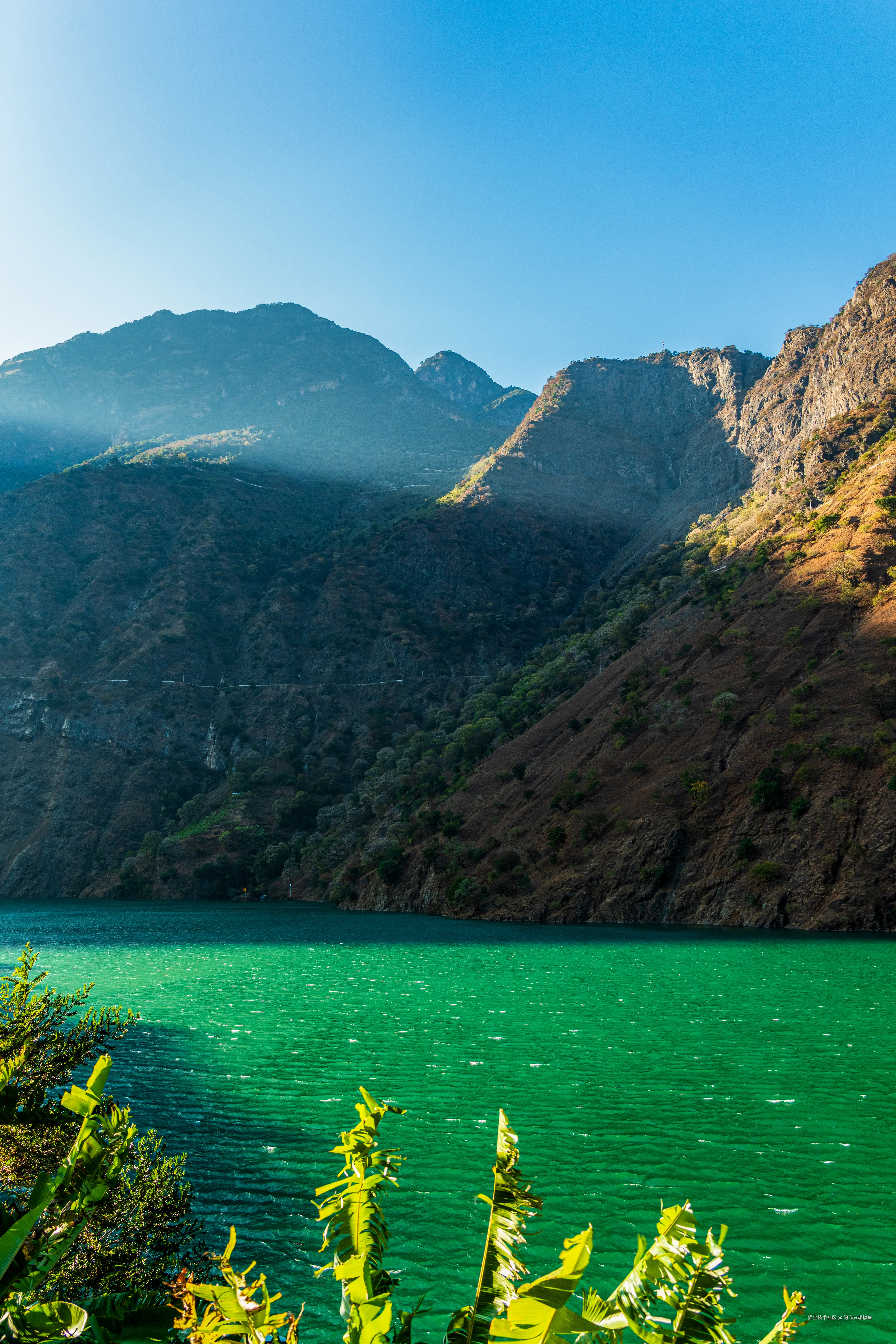 阿飞只想摸鱼于2026-02-11 14:46发布的图片