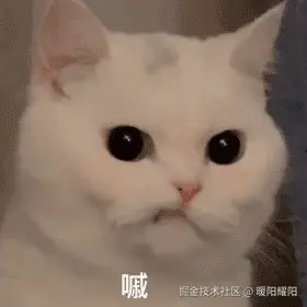 暖阳耀阳于2025-02-24 08:29发布的图片