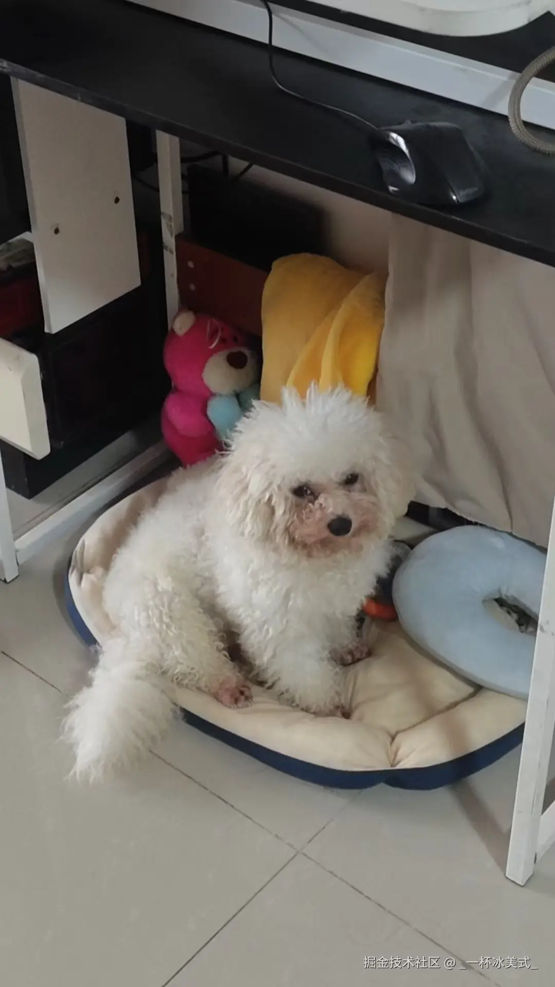 _一杯冰美式_于2025-06-12 11:15发布的图片