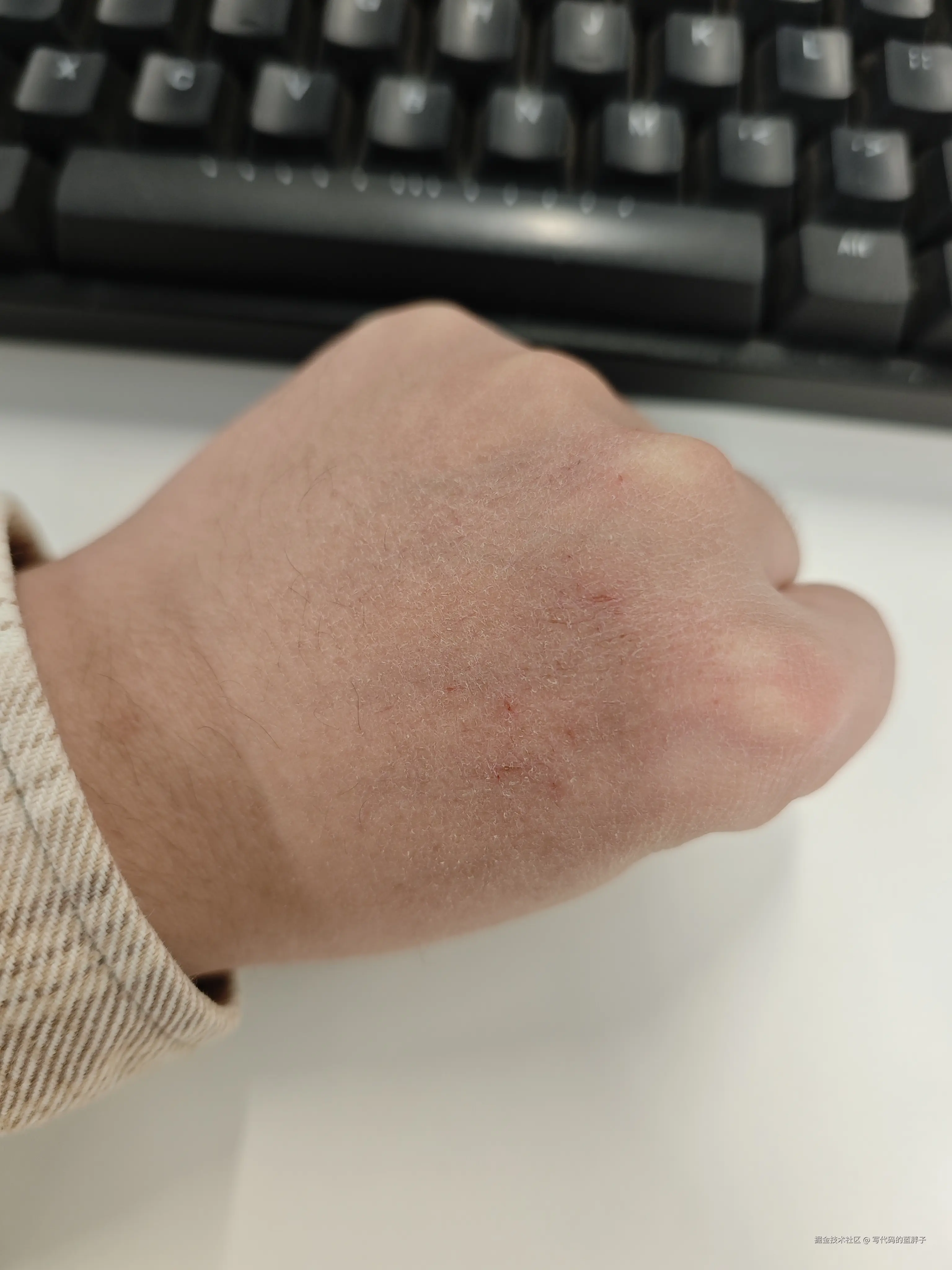 写代码的蓝胖子于2024-12-23 10:11发布的图片