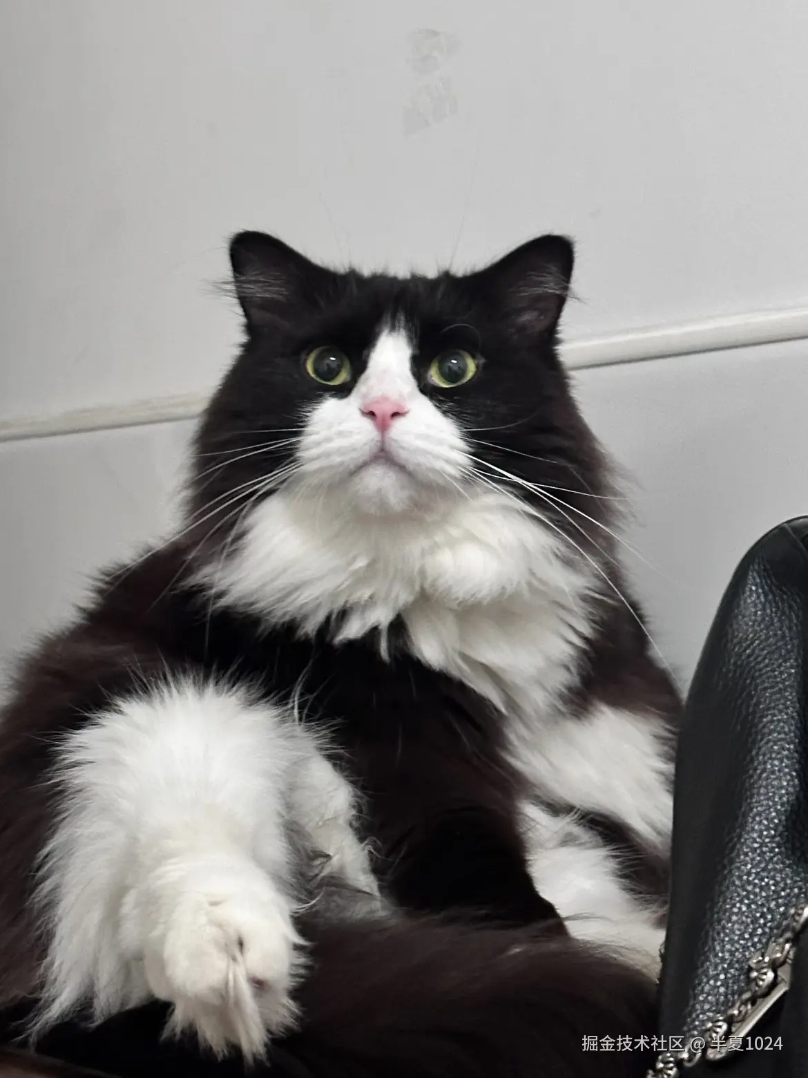 半夏1024于2024-11-25 09:28发布的图片