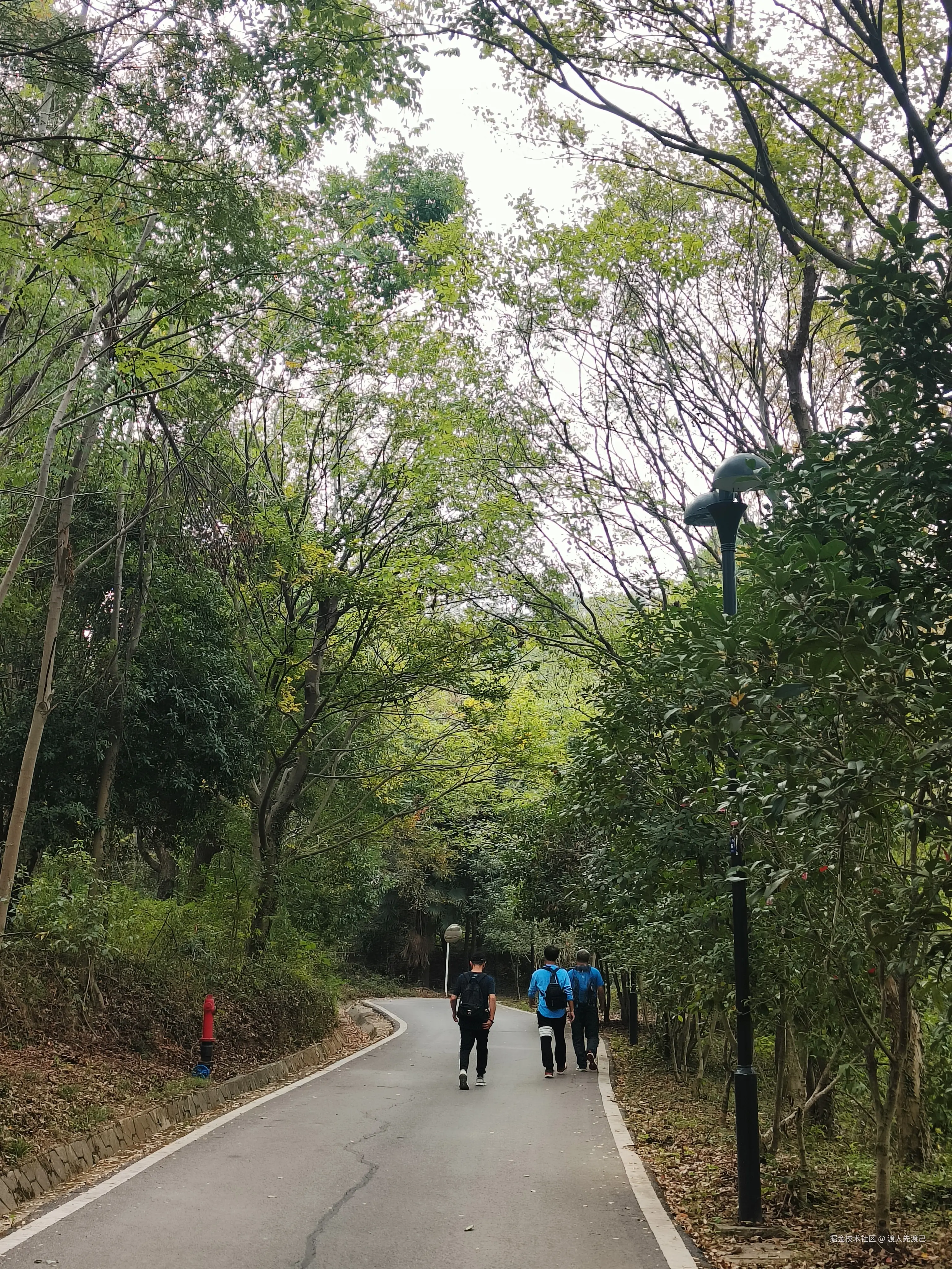 渡人先渡己于2024-11-11 11:10发布的图片