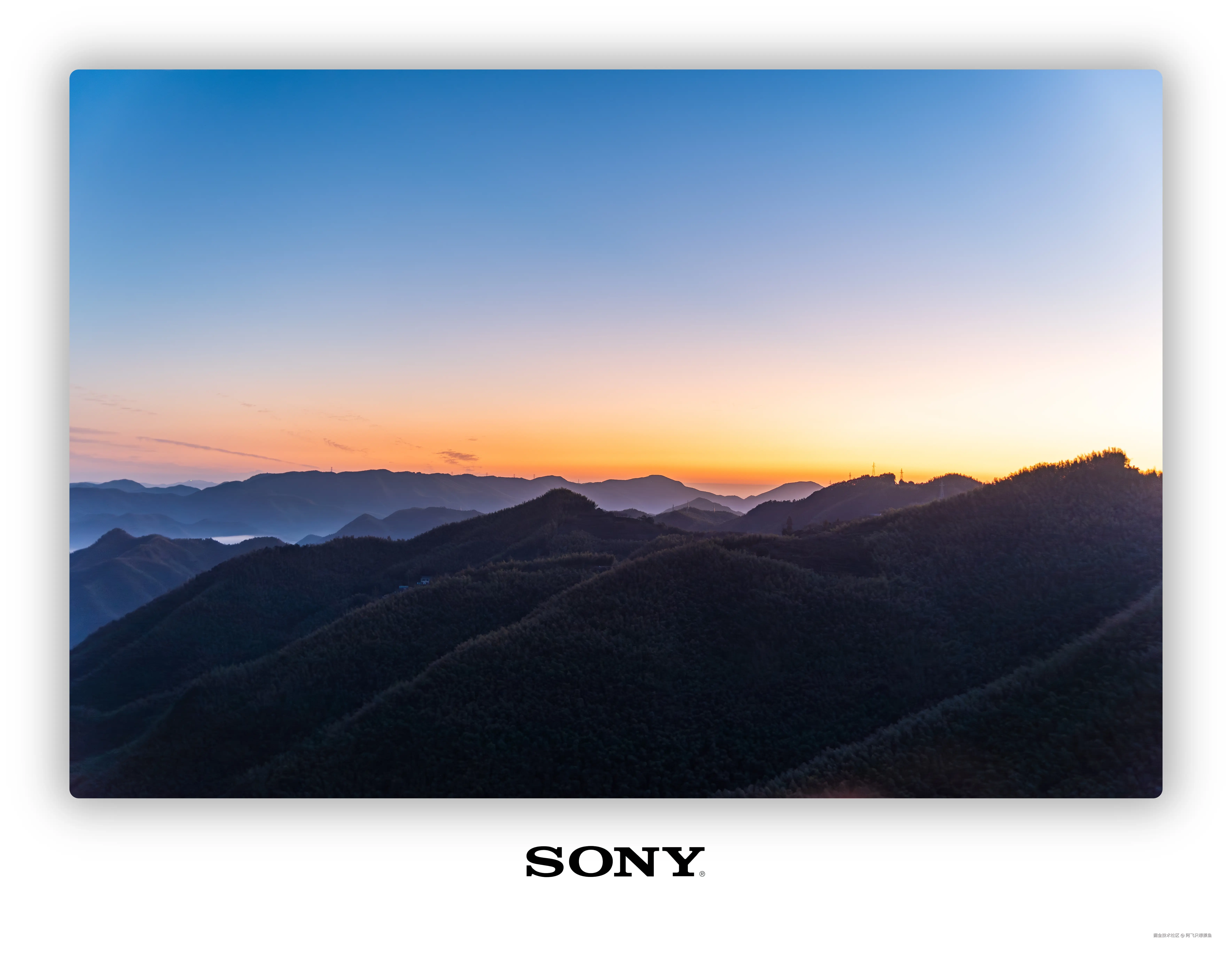 阿飞只想摸鱼于2025-11-18 14:20发布的图片