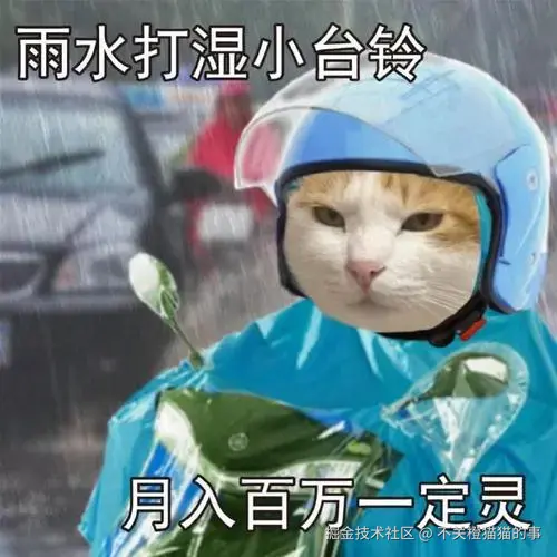 不关橙猫猫的事于2024-08-13 17:07发布的图片
