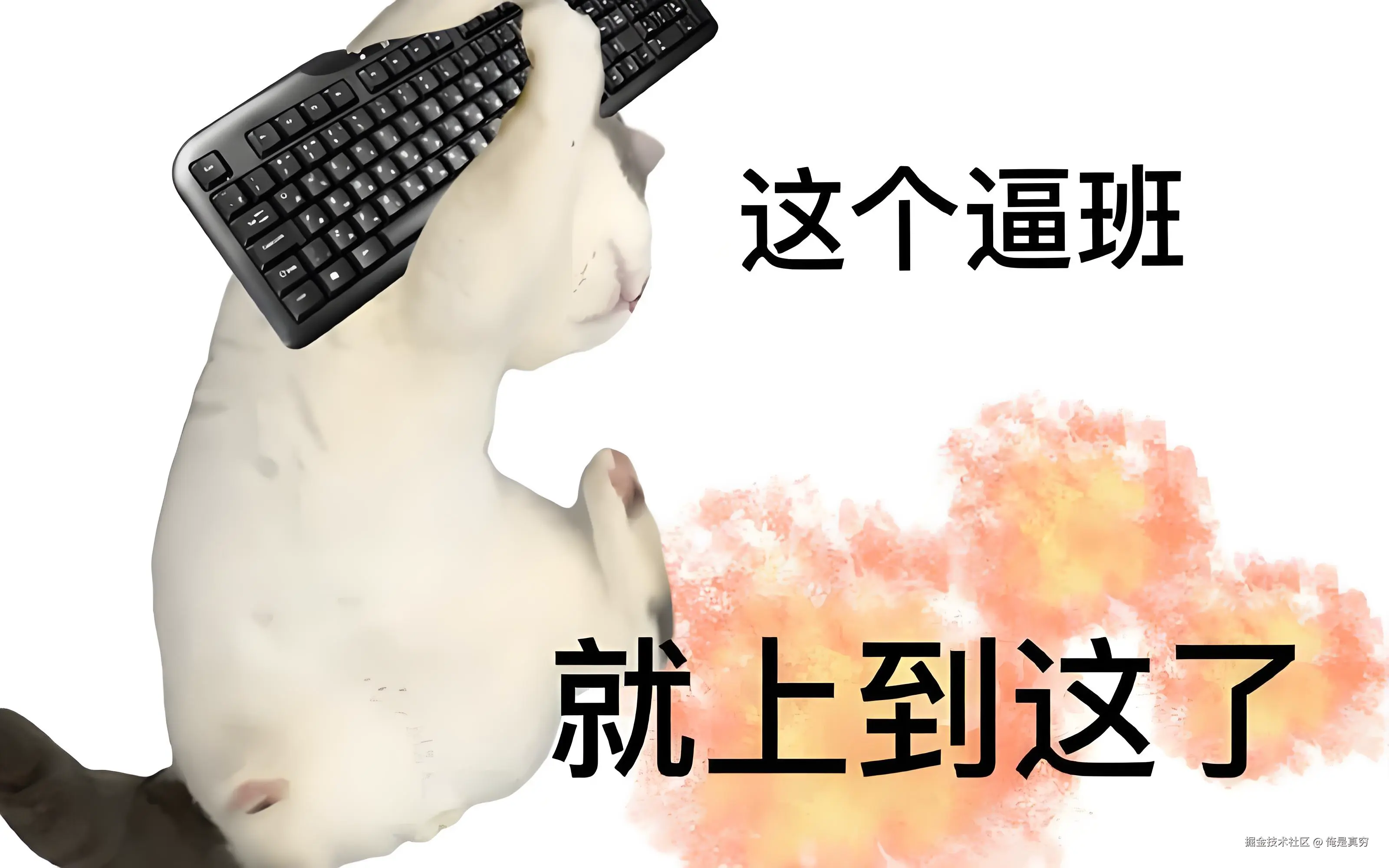 俺是真穷于2025-10-31 10:07发布的图片