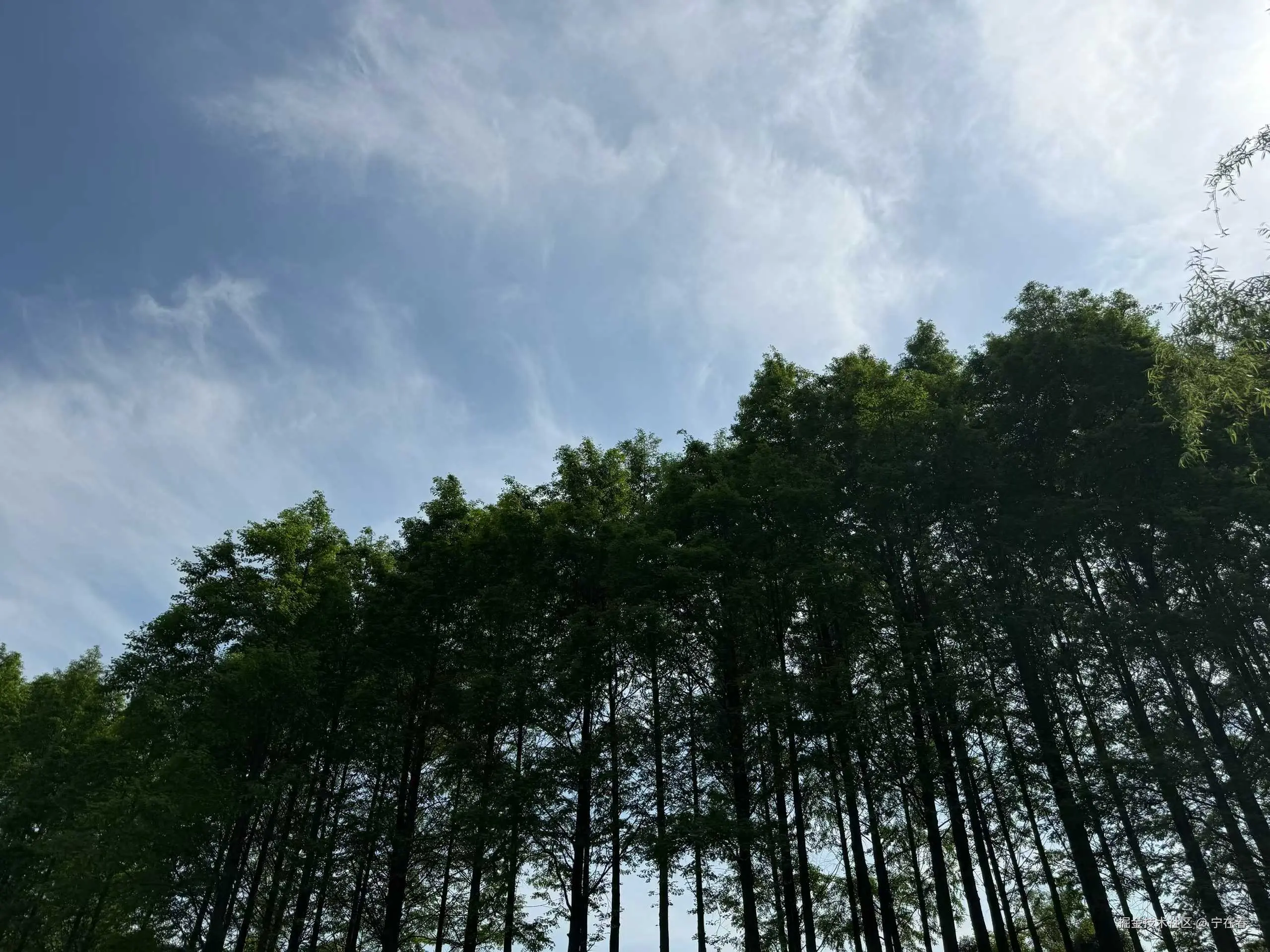 宁在春于2026-04-20 10:30发布的图片