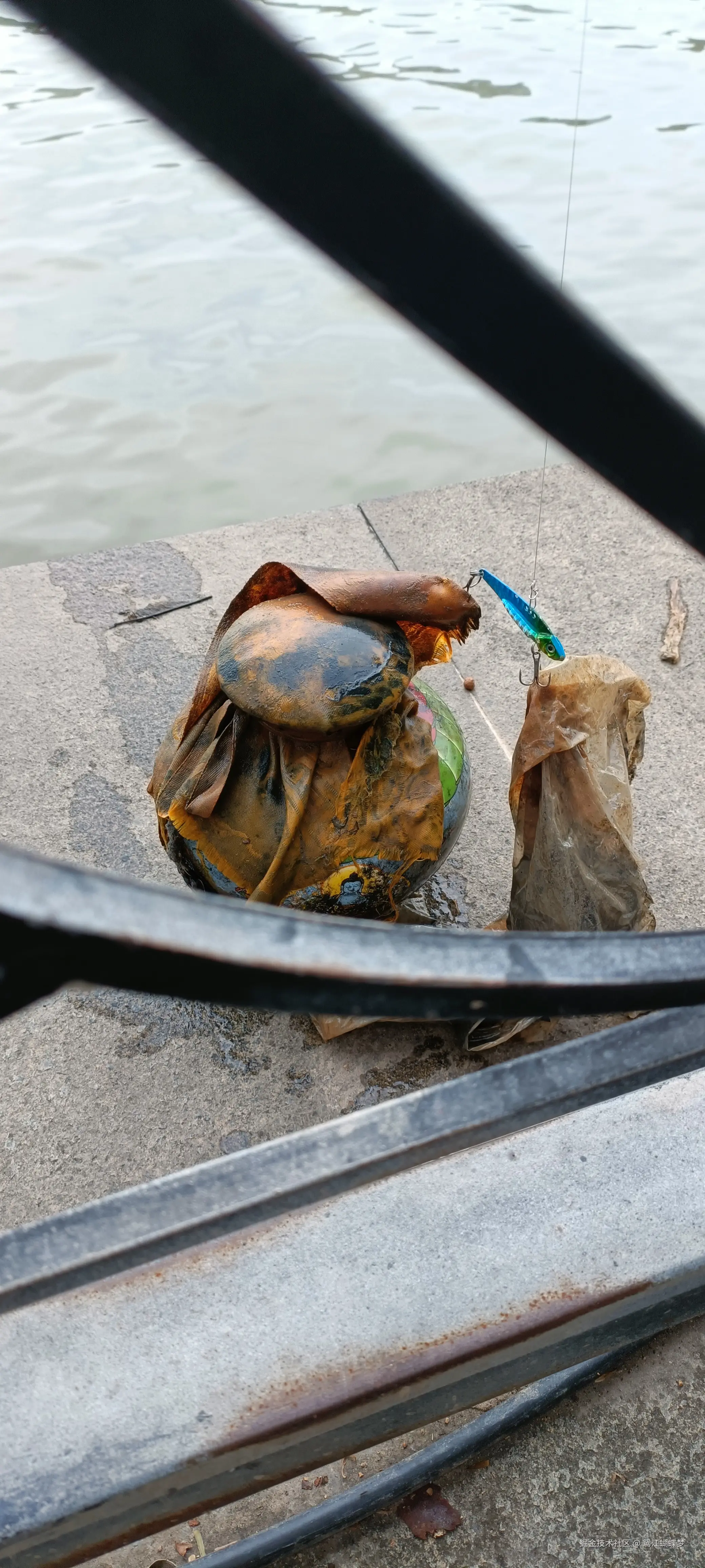 鸳江蝴蝶梦于2024-09-08 17:41发布的图片