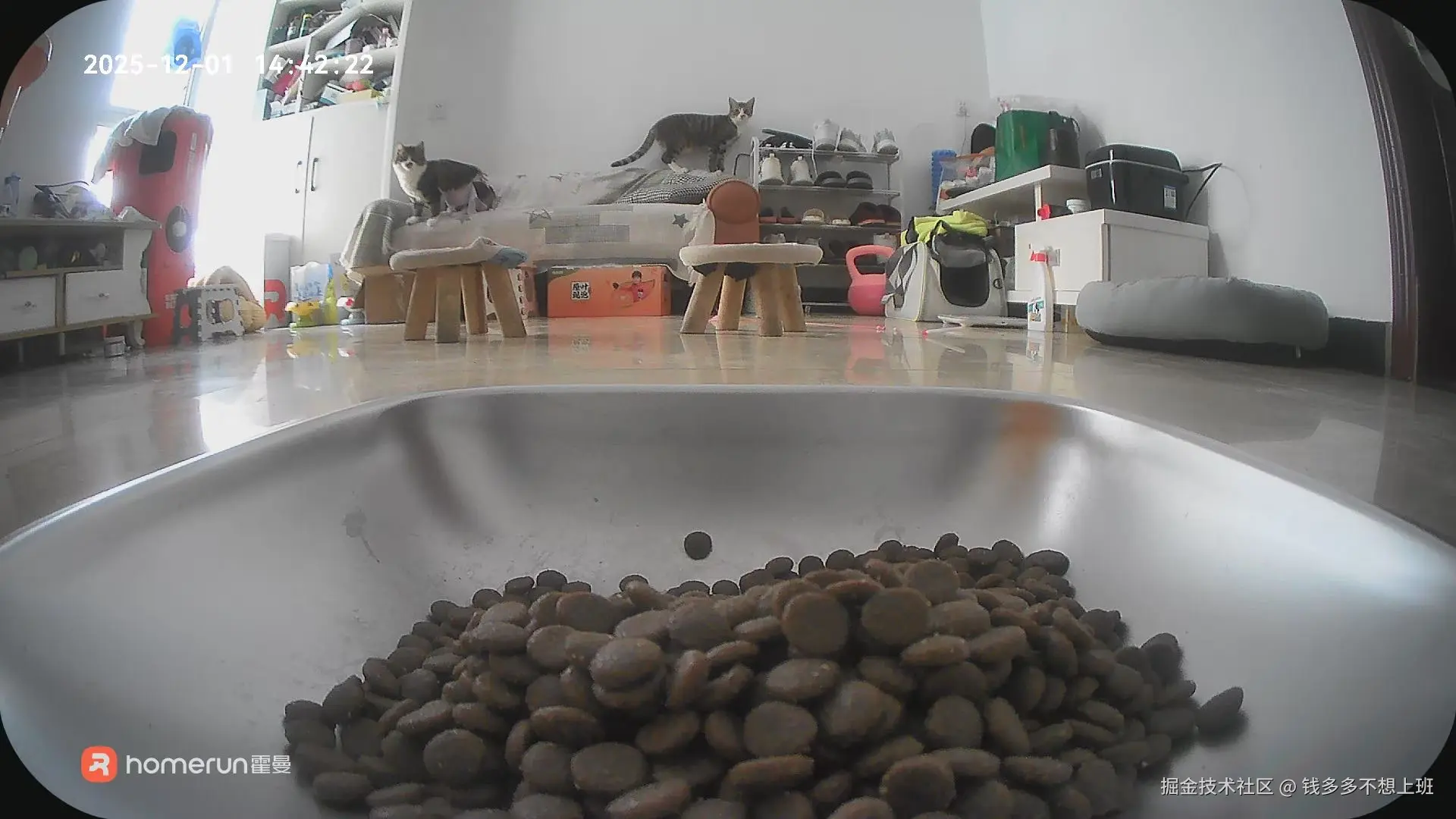 钱多多不想上班于2025-12-03 10:14发布的图片