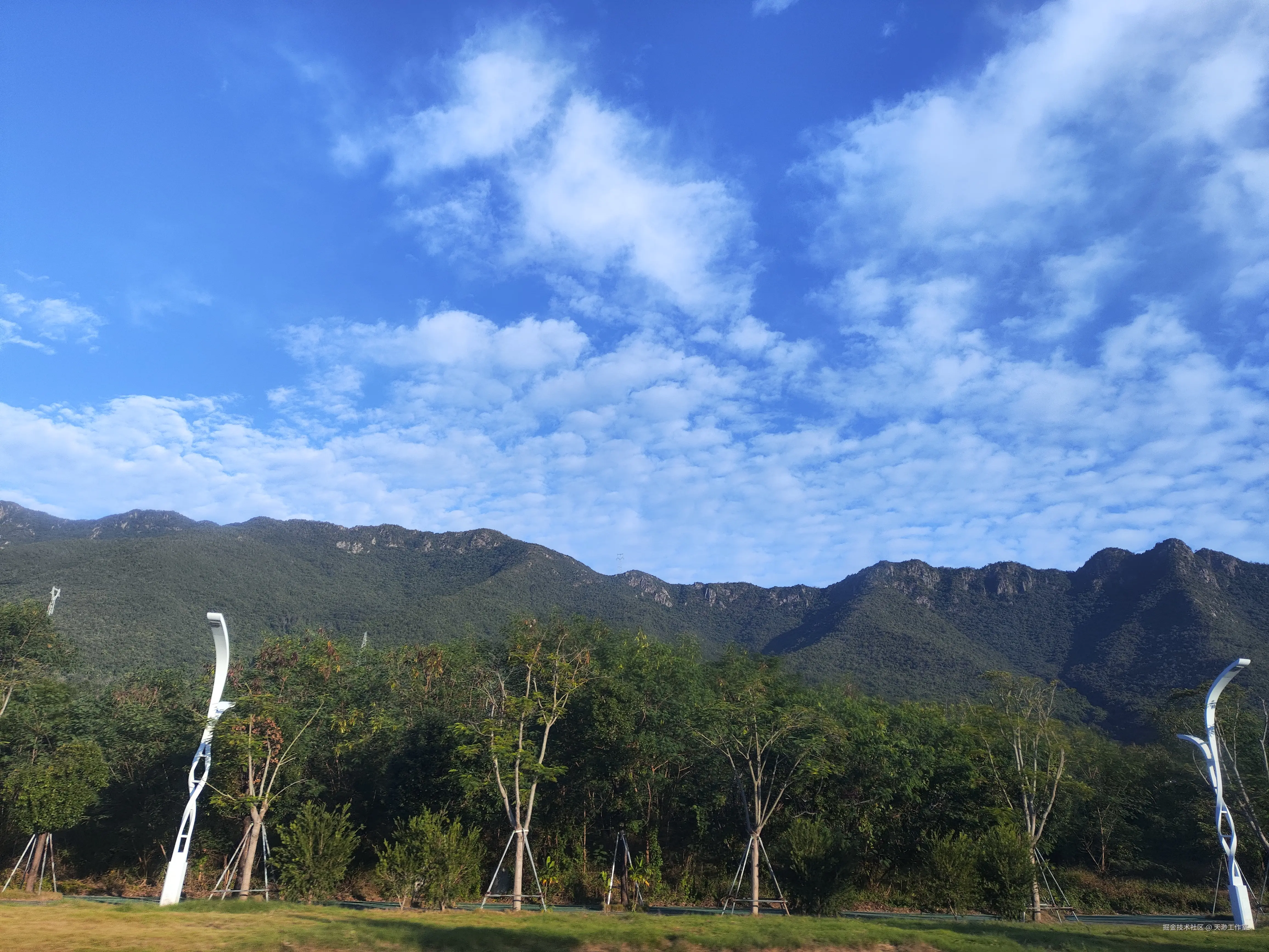 天渺工作室于2025-11-24 04:40发布的图片