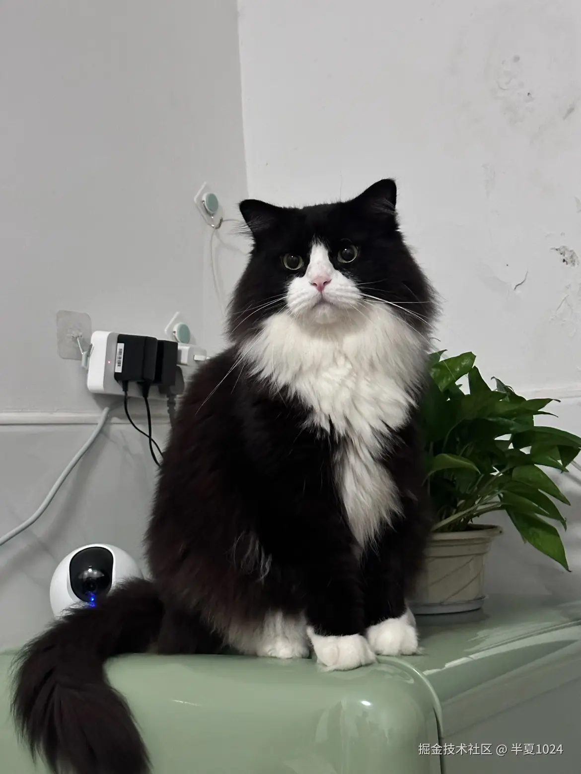 半夏1024于2024-11-25 09:28发布的图片