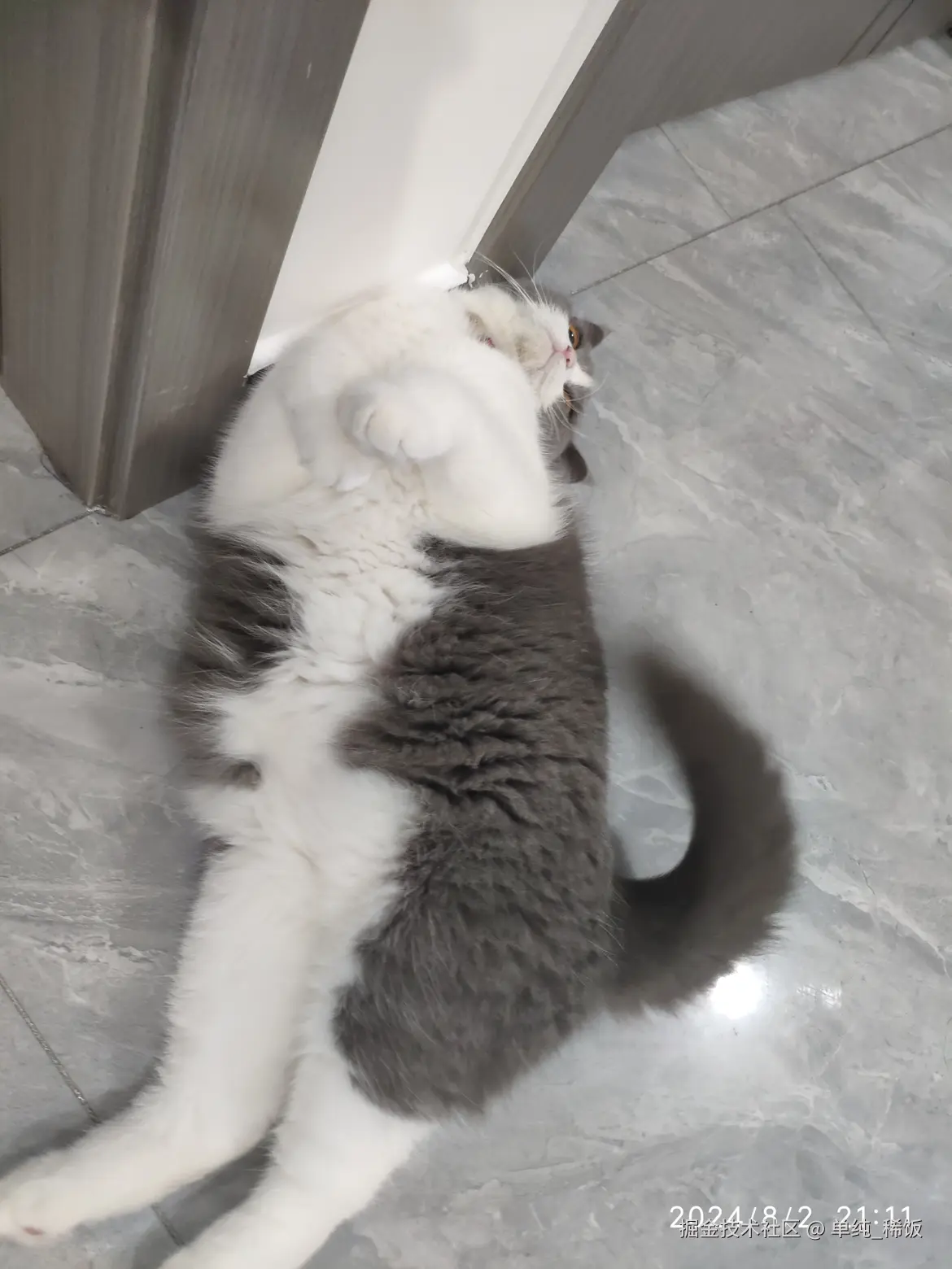 单纯_稀饭于2024-08-03 09:24发布的图片