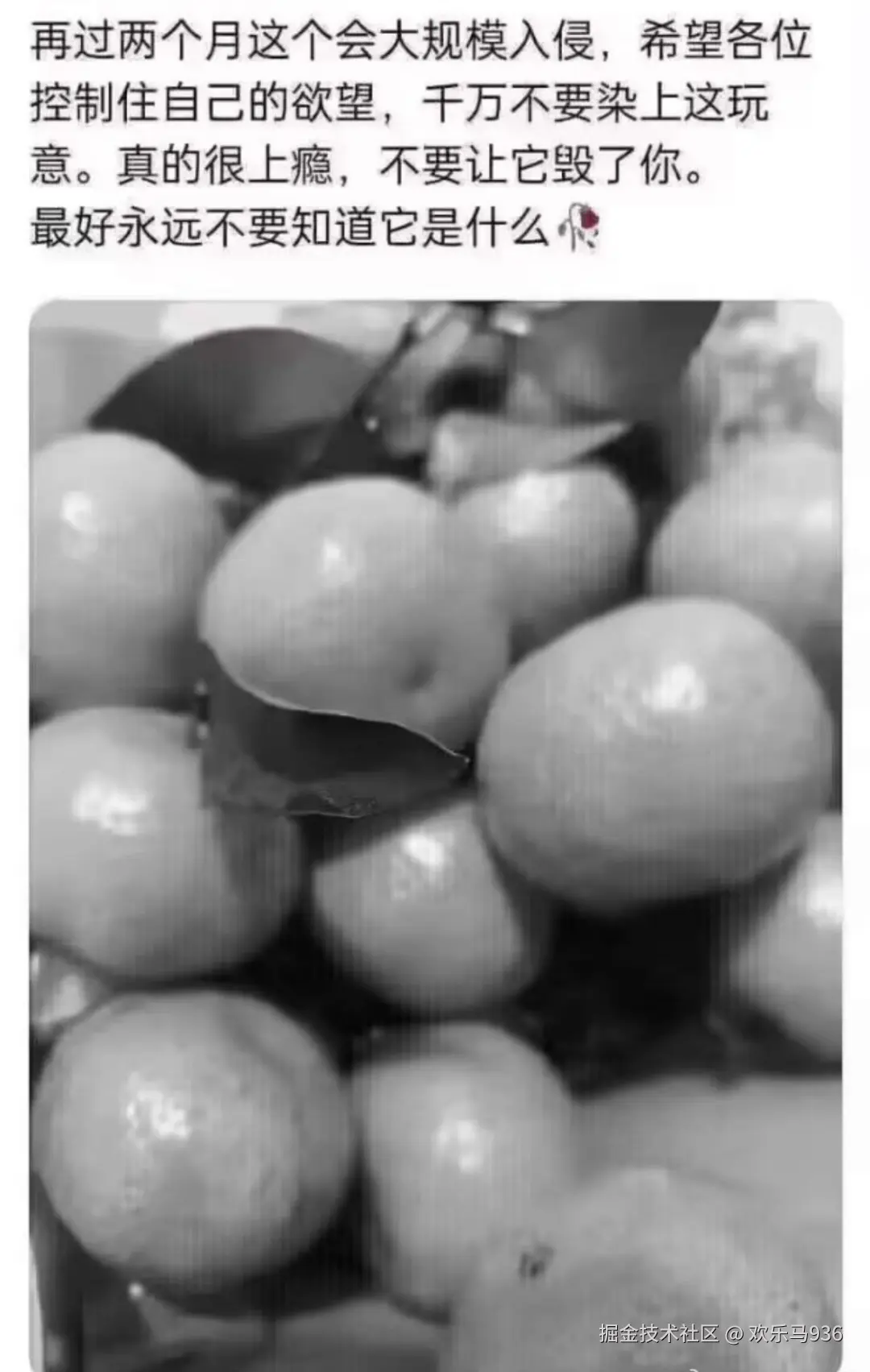 欢乐马936于2025-10-22 11:39发布的图片