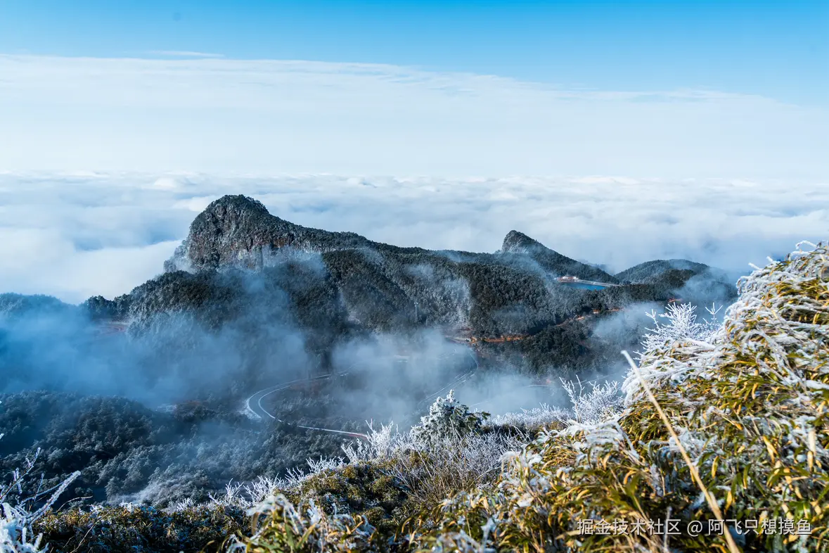 阿飞只想摸鱼于2026-02-11 14:33发布的图片
