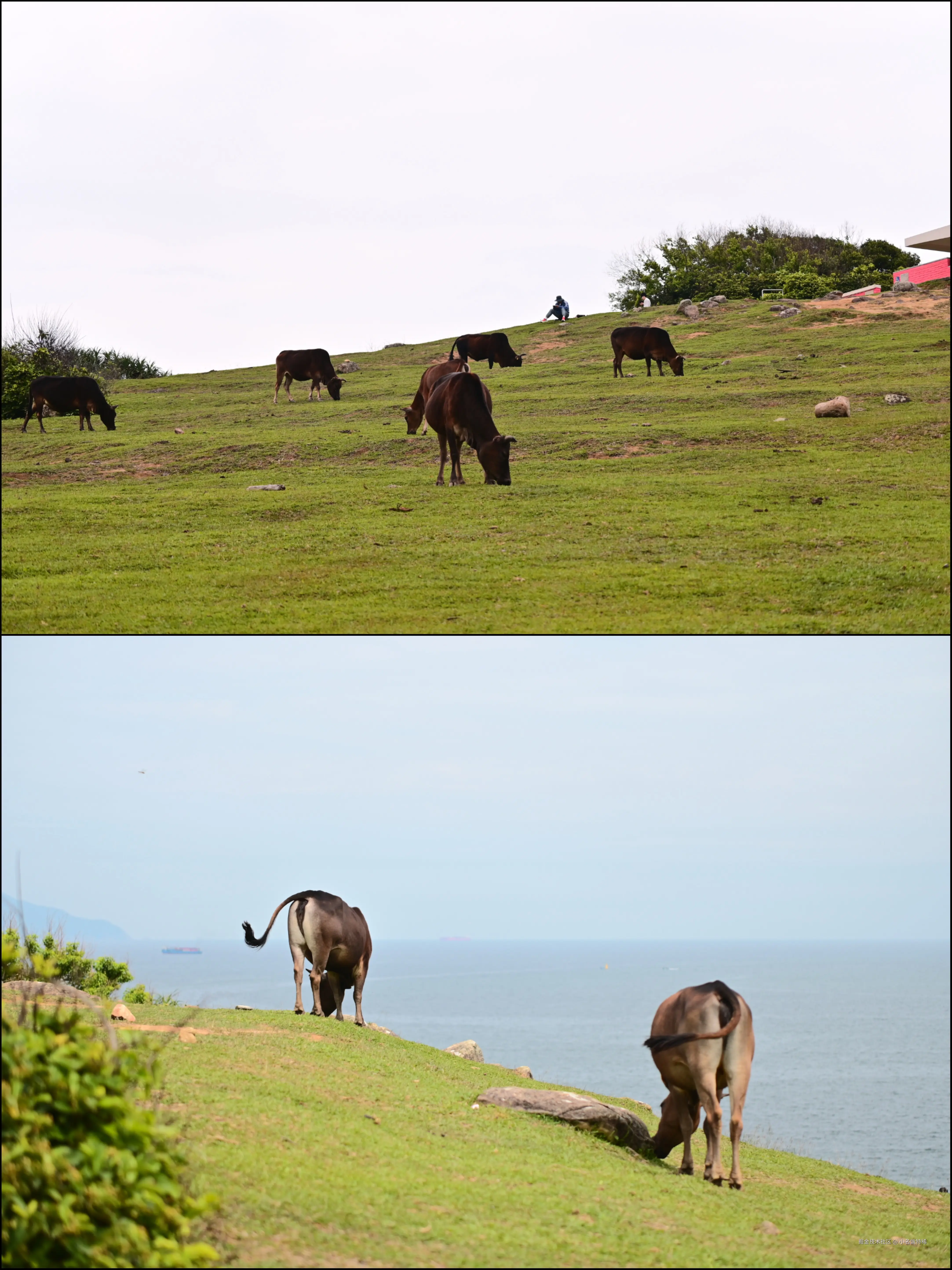 小名饭特稀于2026-04-27 10:47发布的图片