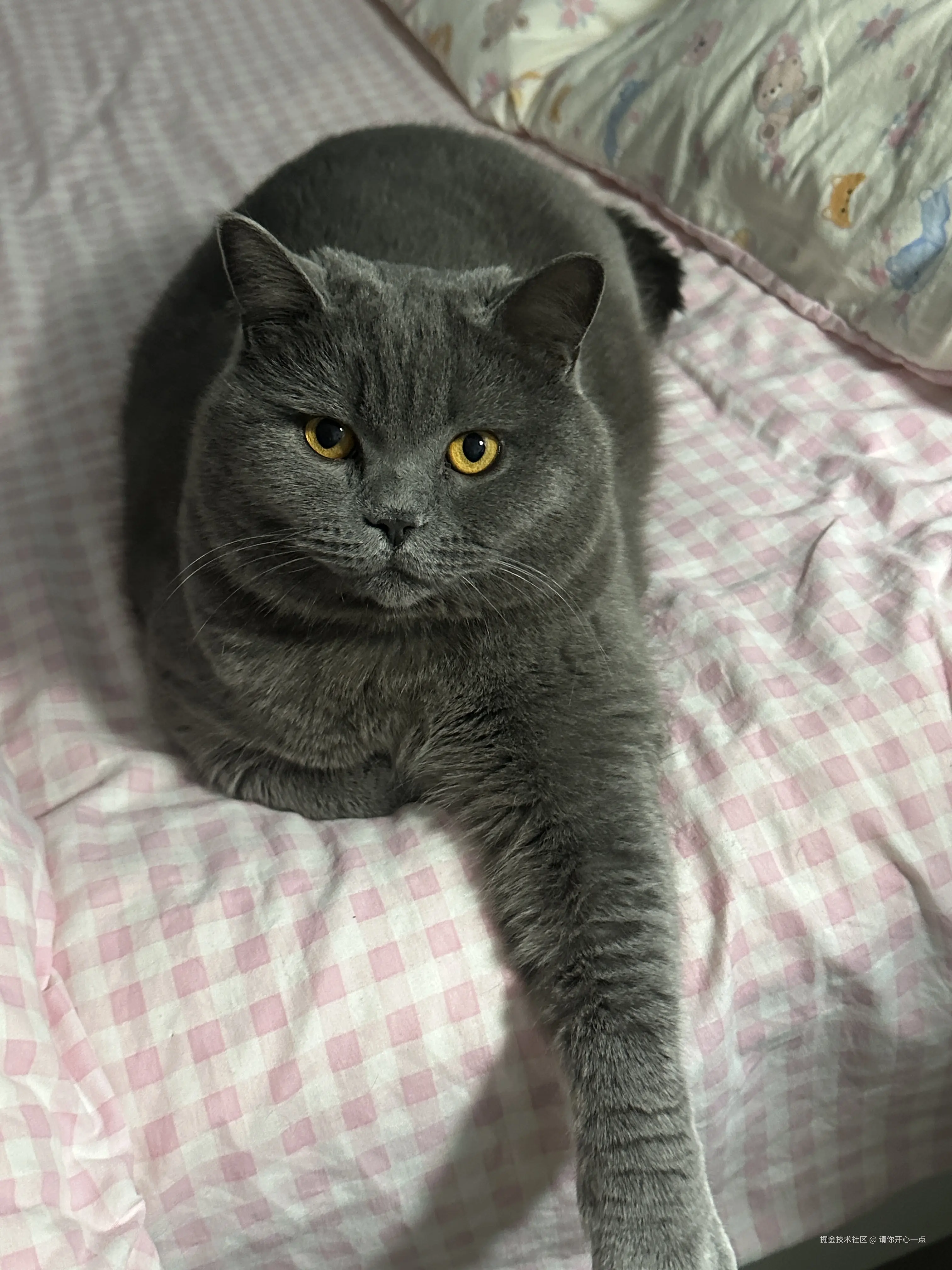 请你开心一点于2025-04-11 15:32发布的图片